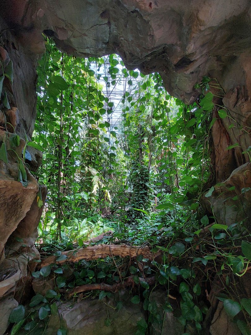 Walkthrough Metzelaarkas 2021