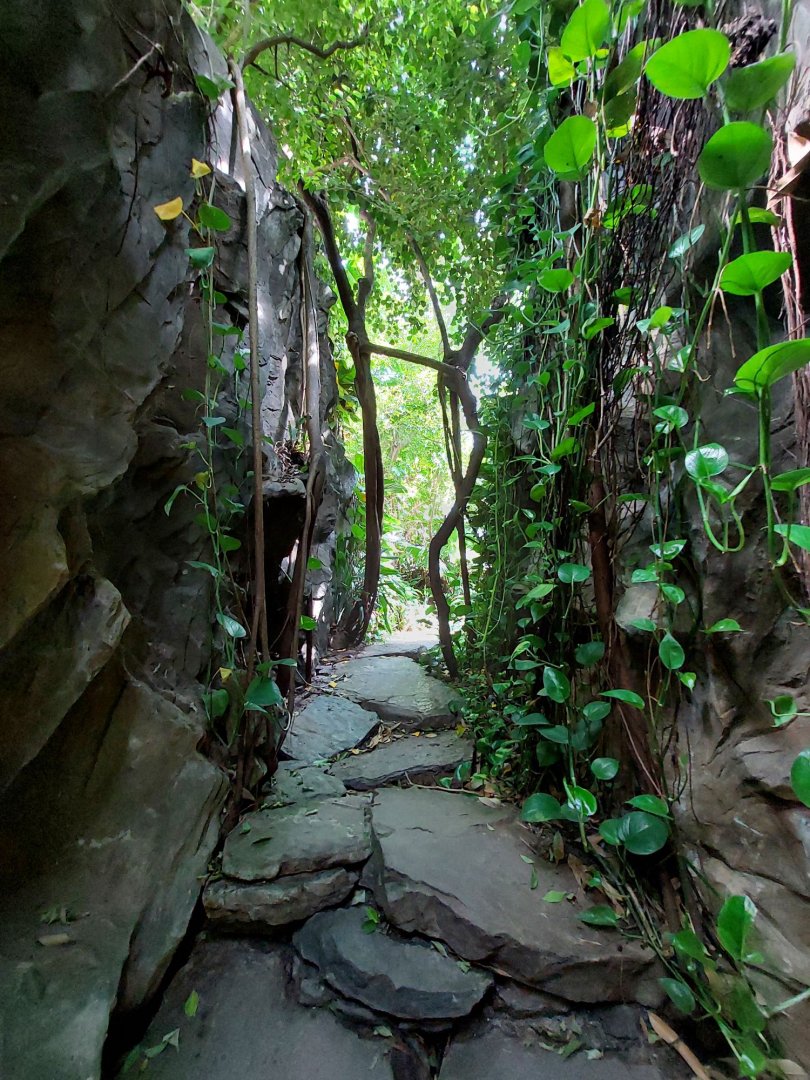 Walkthrough Metzelaarkas 2021