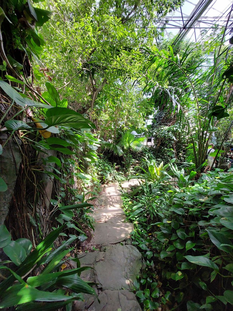 Walkthrough Metzelaarkas 2021