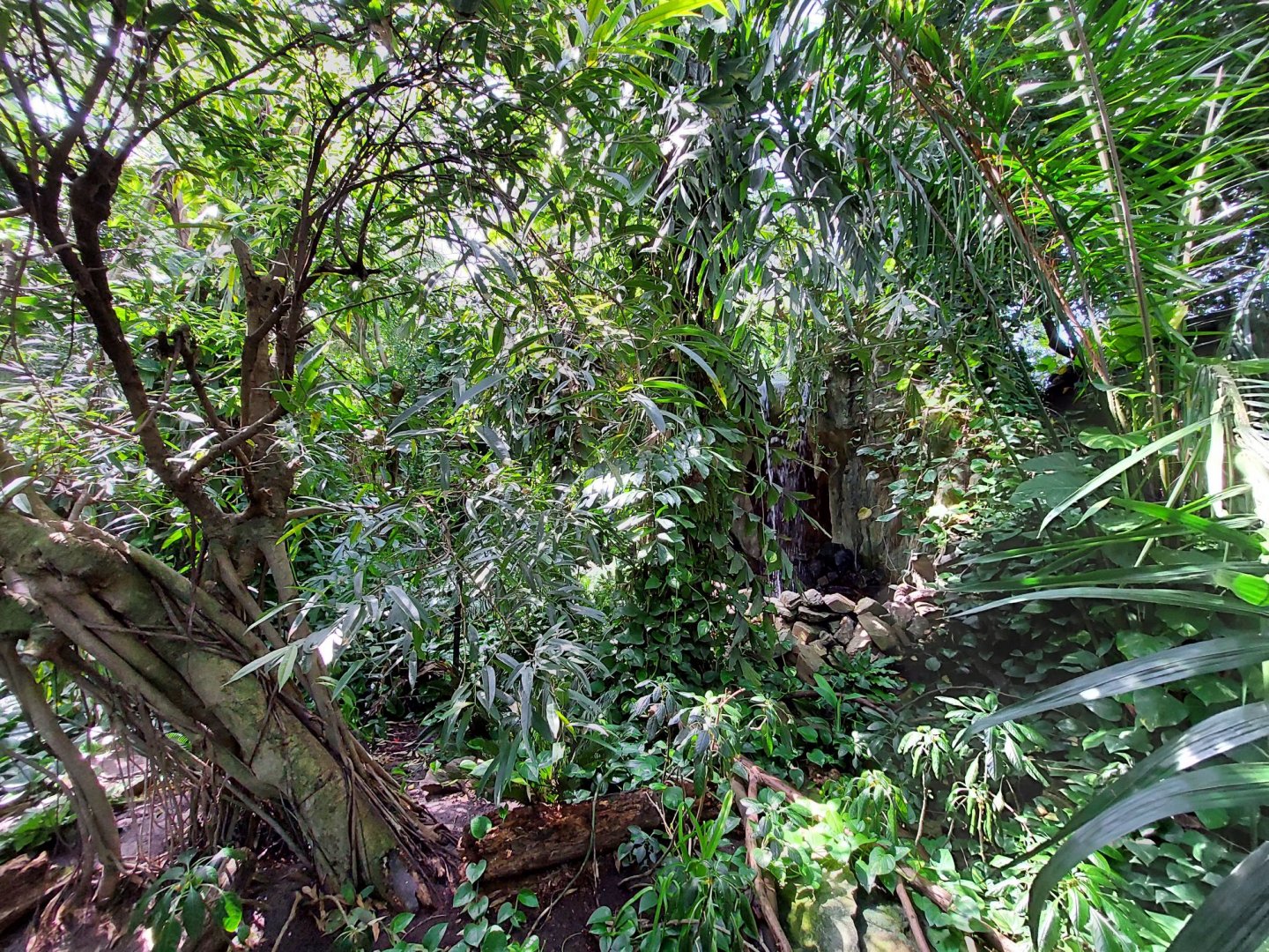 Walkthrough Metzelaarkas 2021