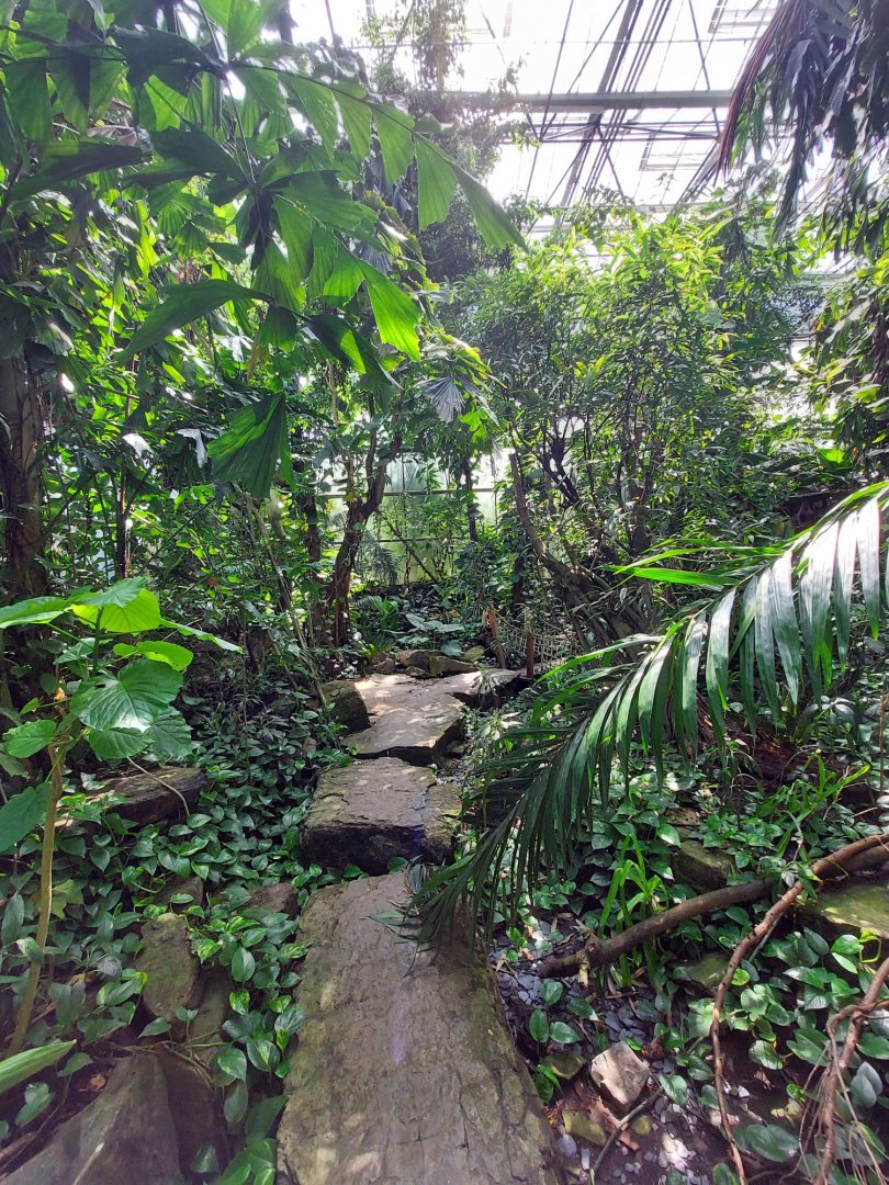 Walkthrough Metzelaarkas 2021