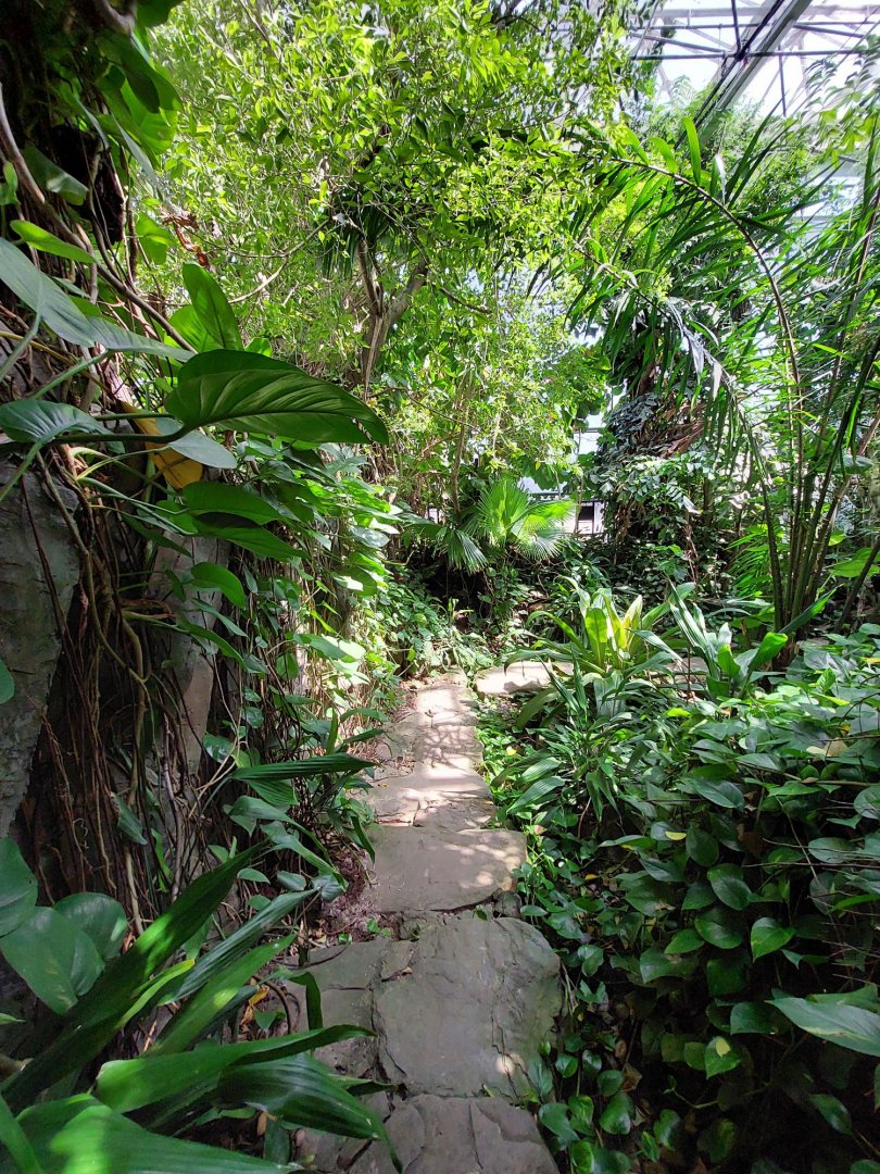 Walkthrough Metzelaarkas 2021