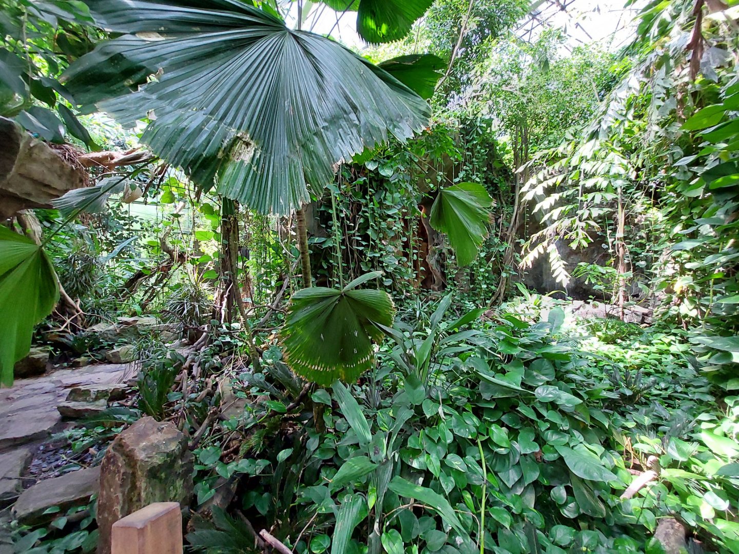 Walkthrough Metzelaarkas 2021