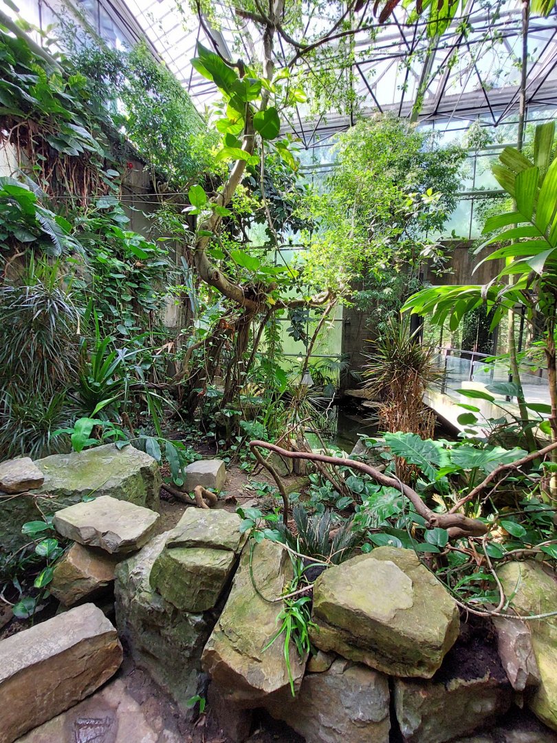 Walkthrough Metzelaarkas 2021