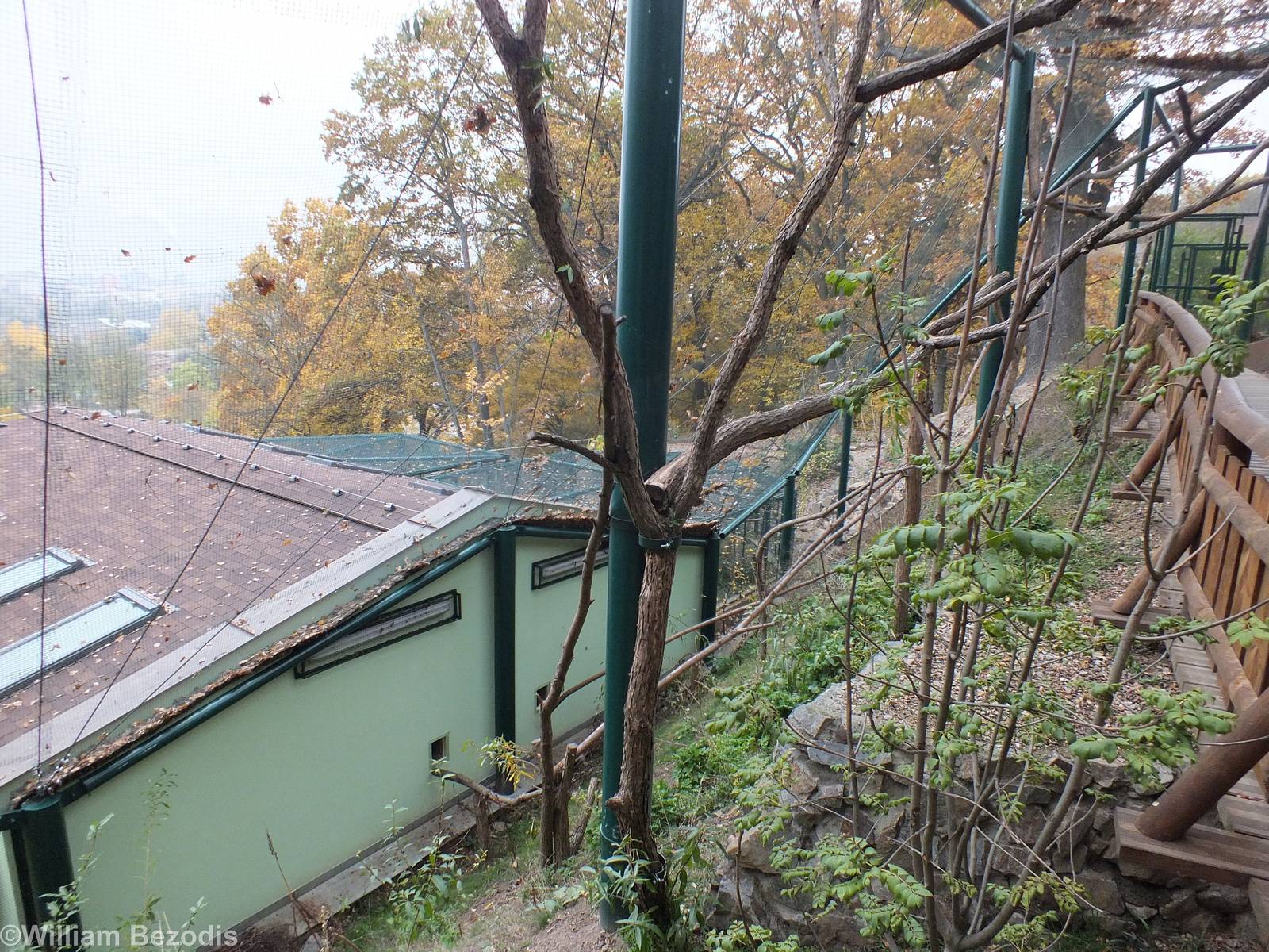 Walkthrough Outdoor Area Outside the 'Amazonia' Building