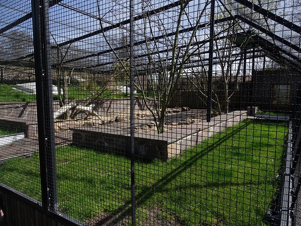 (Walkthrough?) Parakeet enclosure (04/2022)
