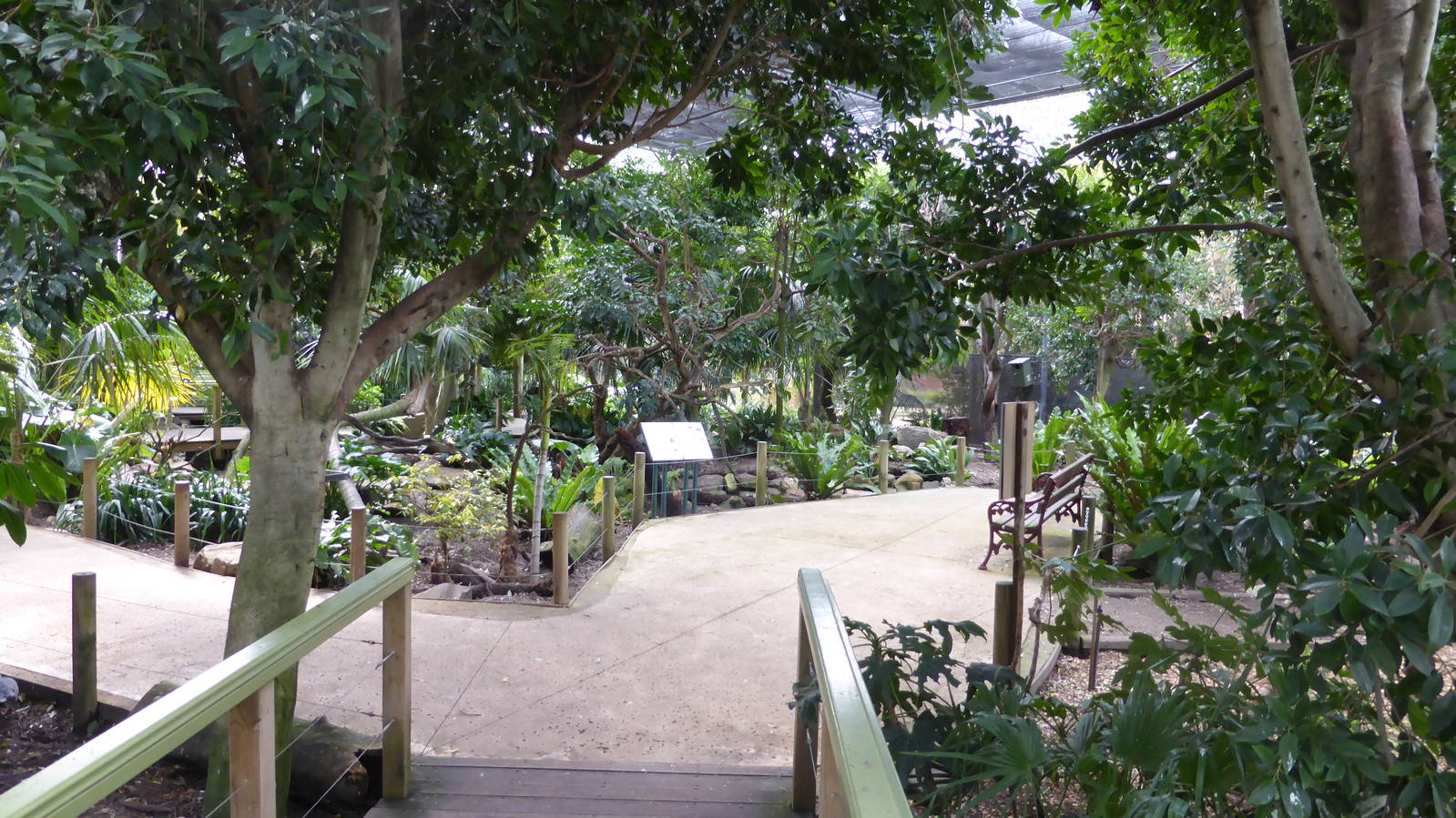 Walkthrough rainforest aviary