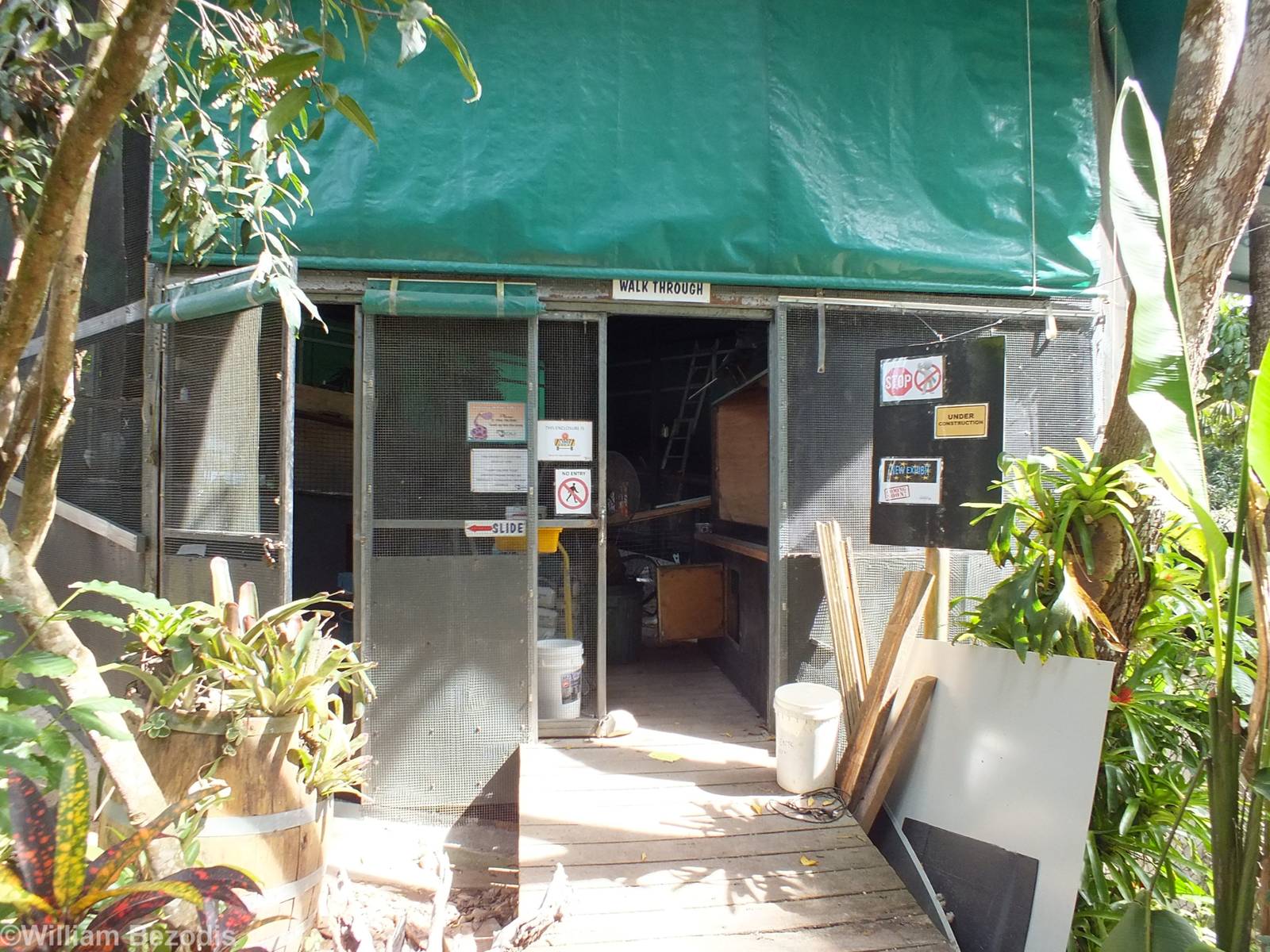 Walkthrough Reptile House Under Construction