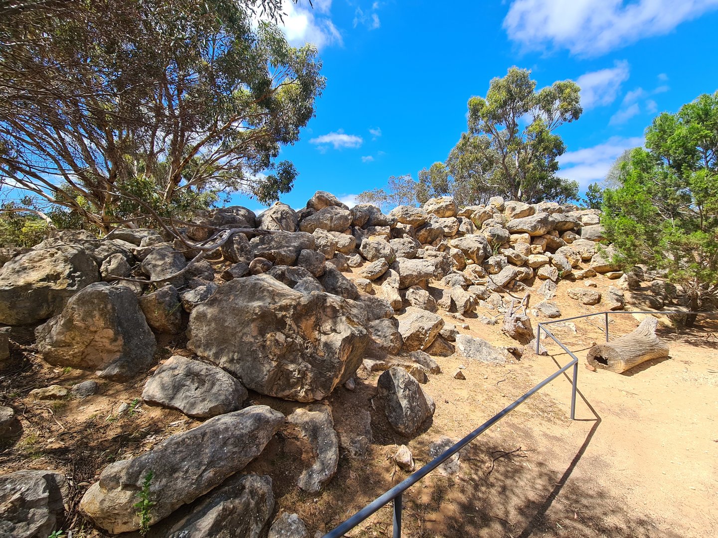 Walkthrough Rock Wallaby Exhibit