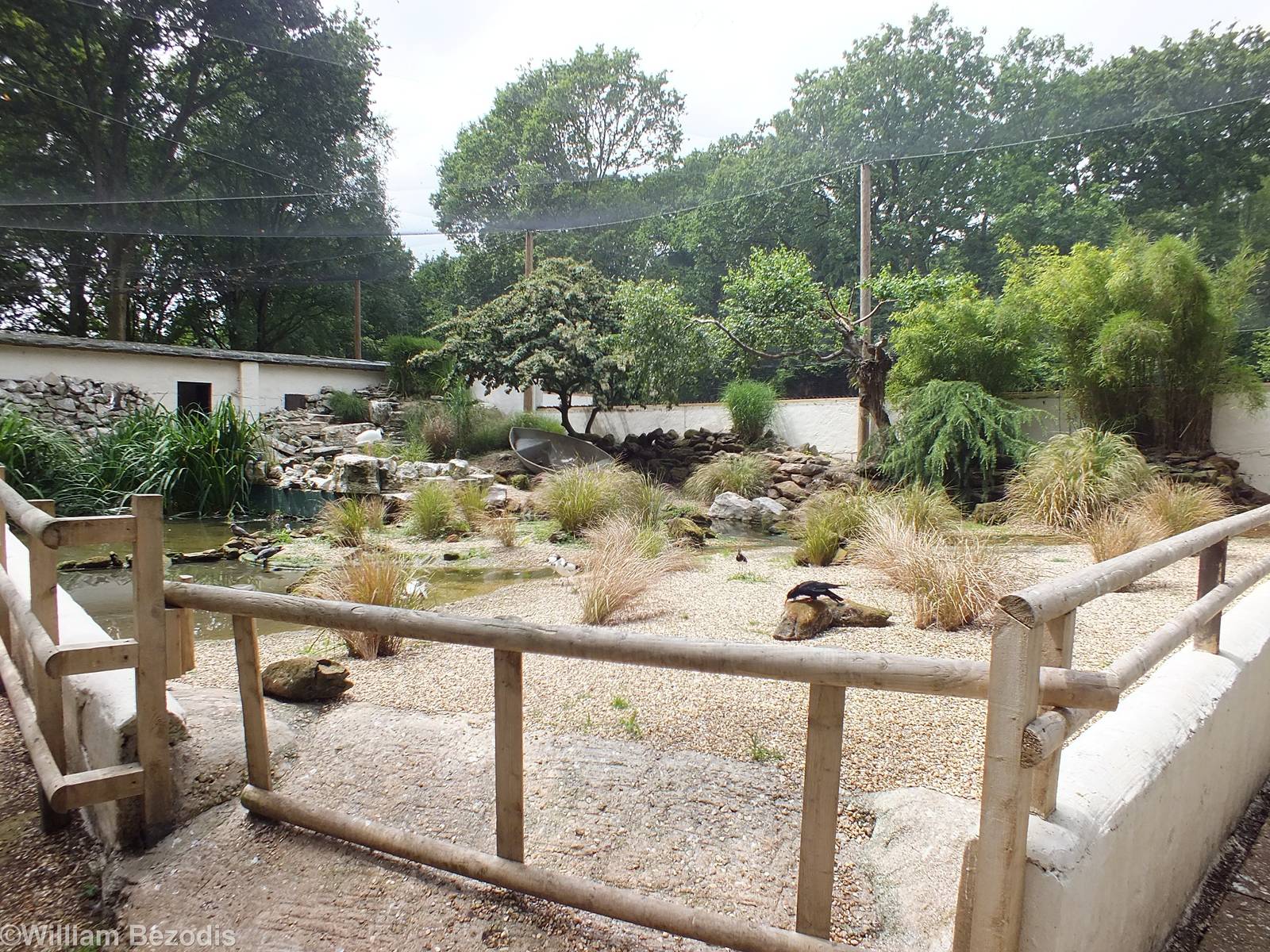 Walkthrough Seashore Enclosure