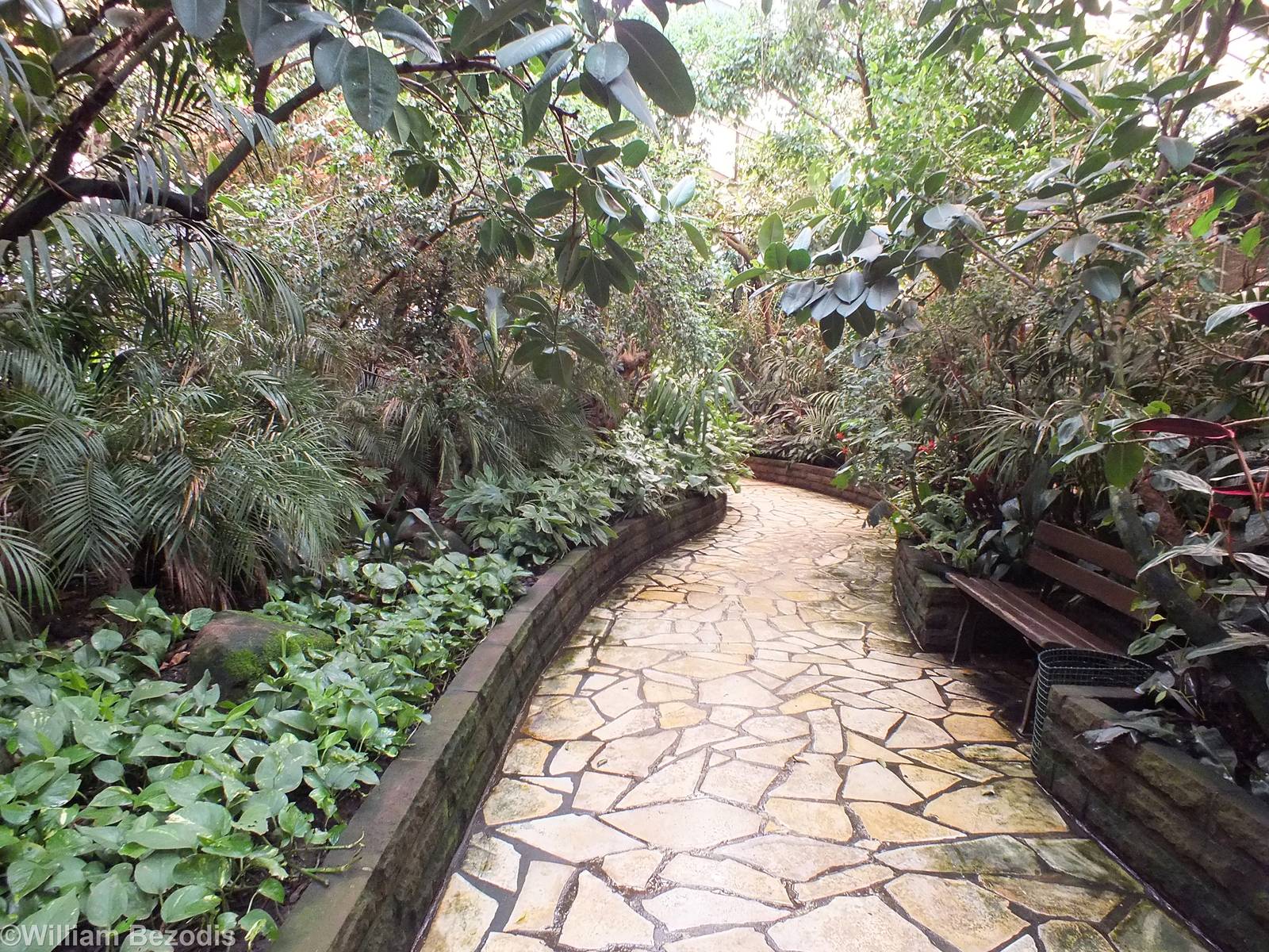 Walkthrough Tropical Section of 'Paradies-Halle