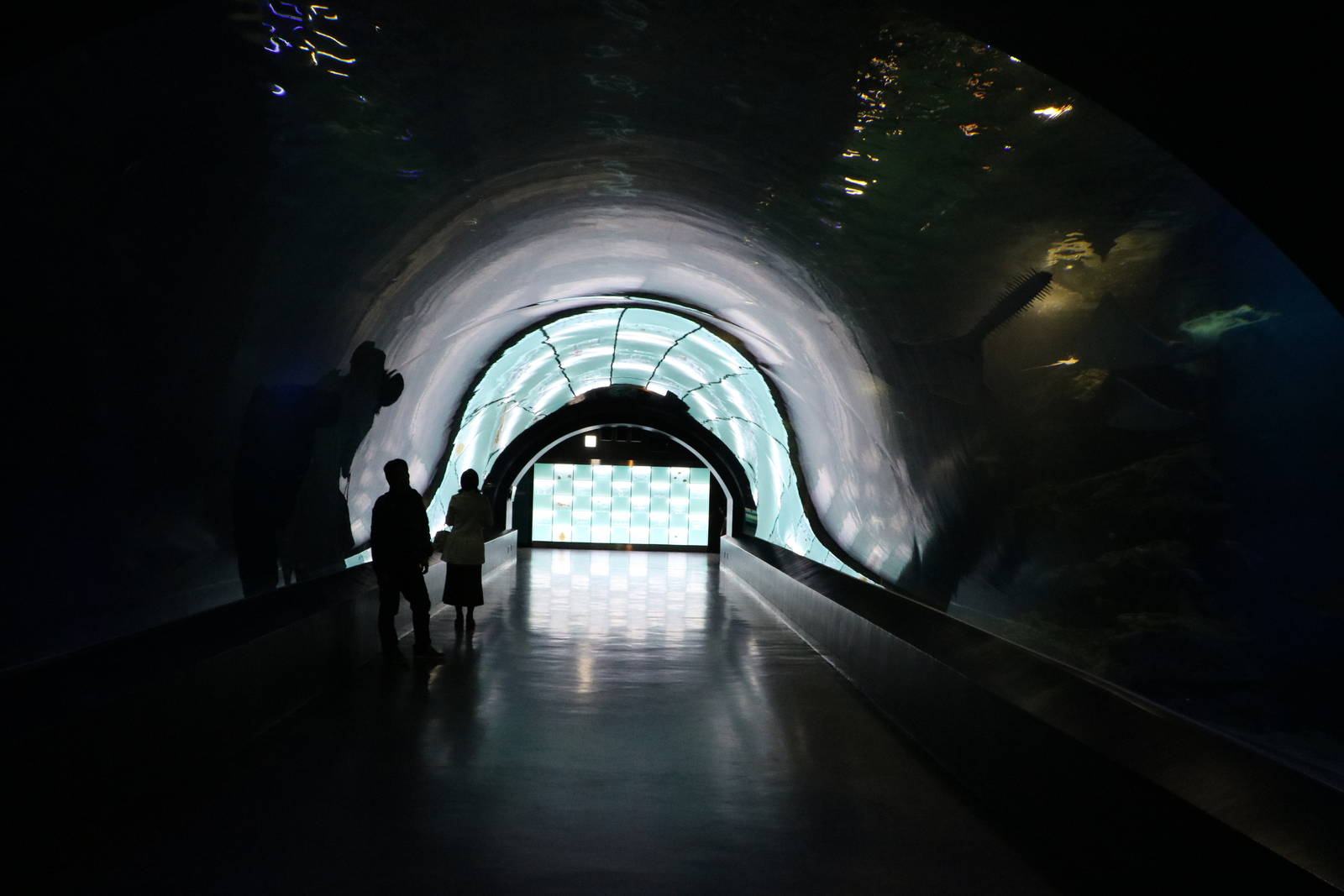 Walkthrough tunnel - EPSON Aqua Park, February 2016