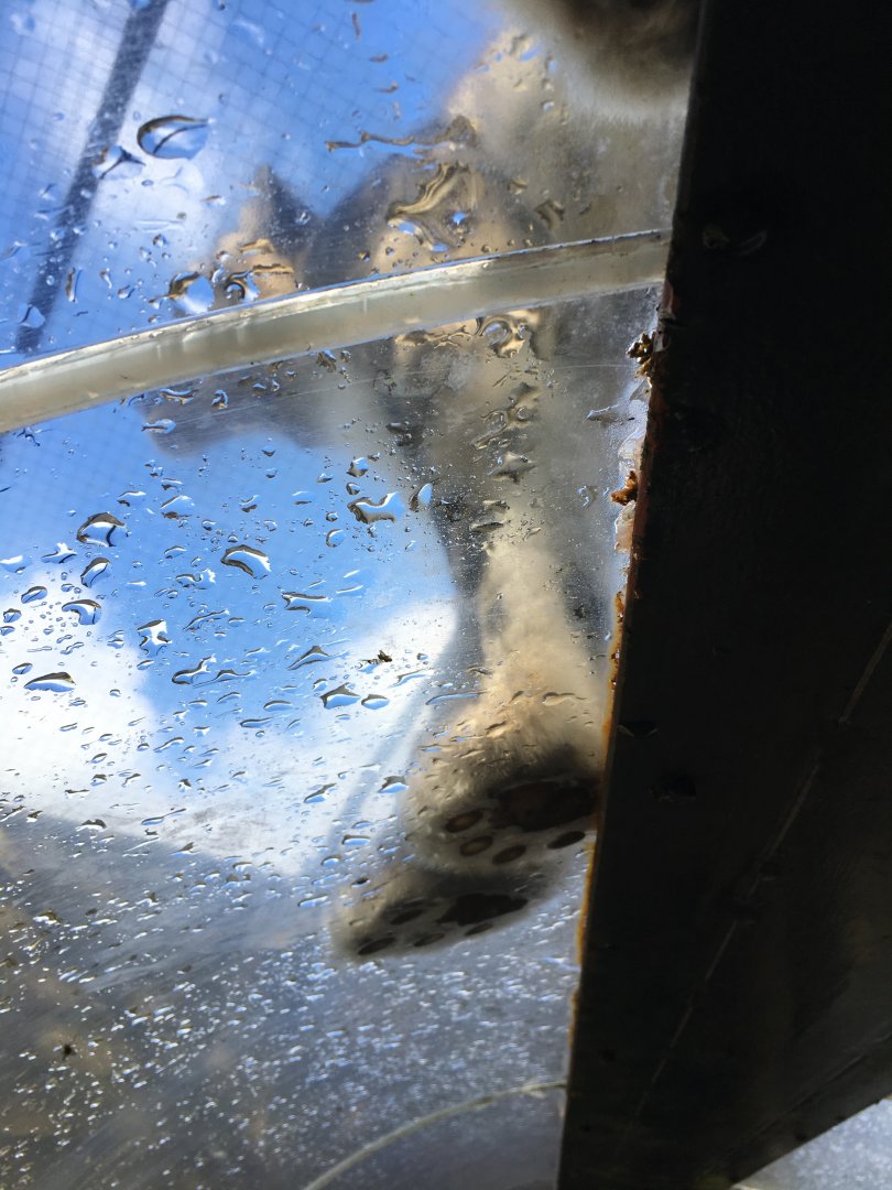 Walkthrough tunnel Snow leopard enclosure 010817