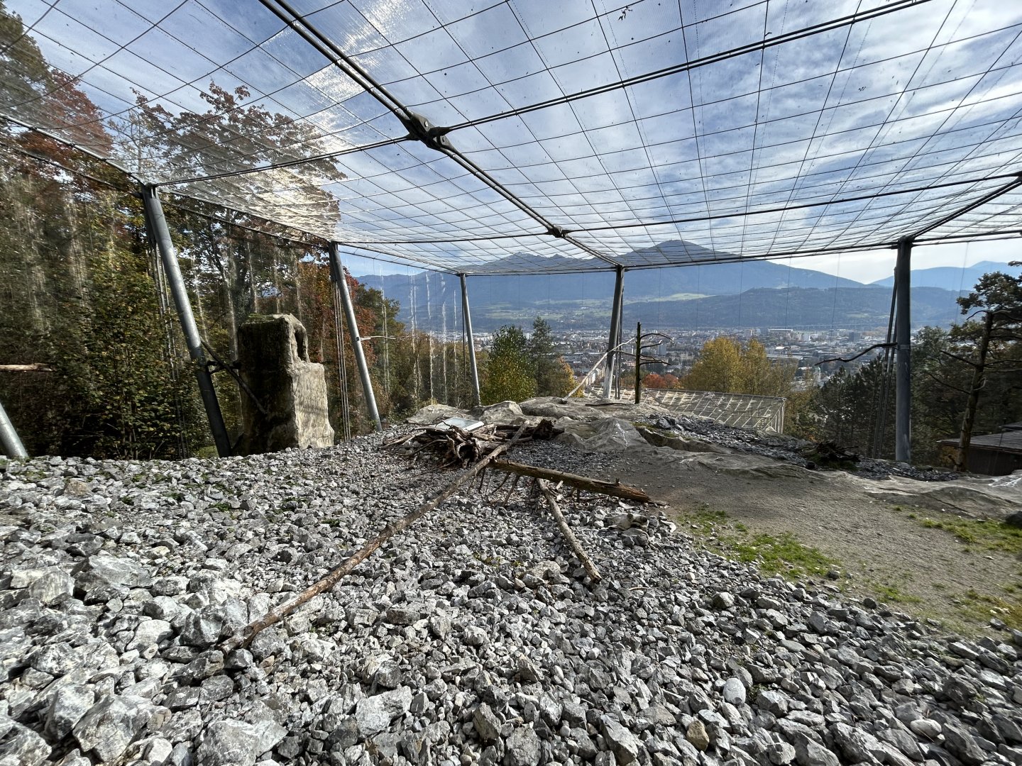 Walkthrough Vulture Aviary