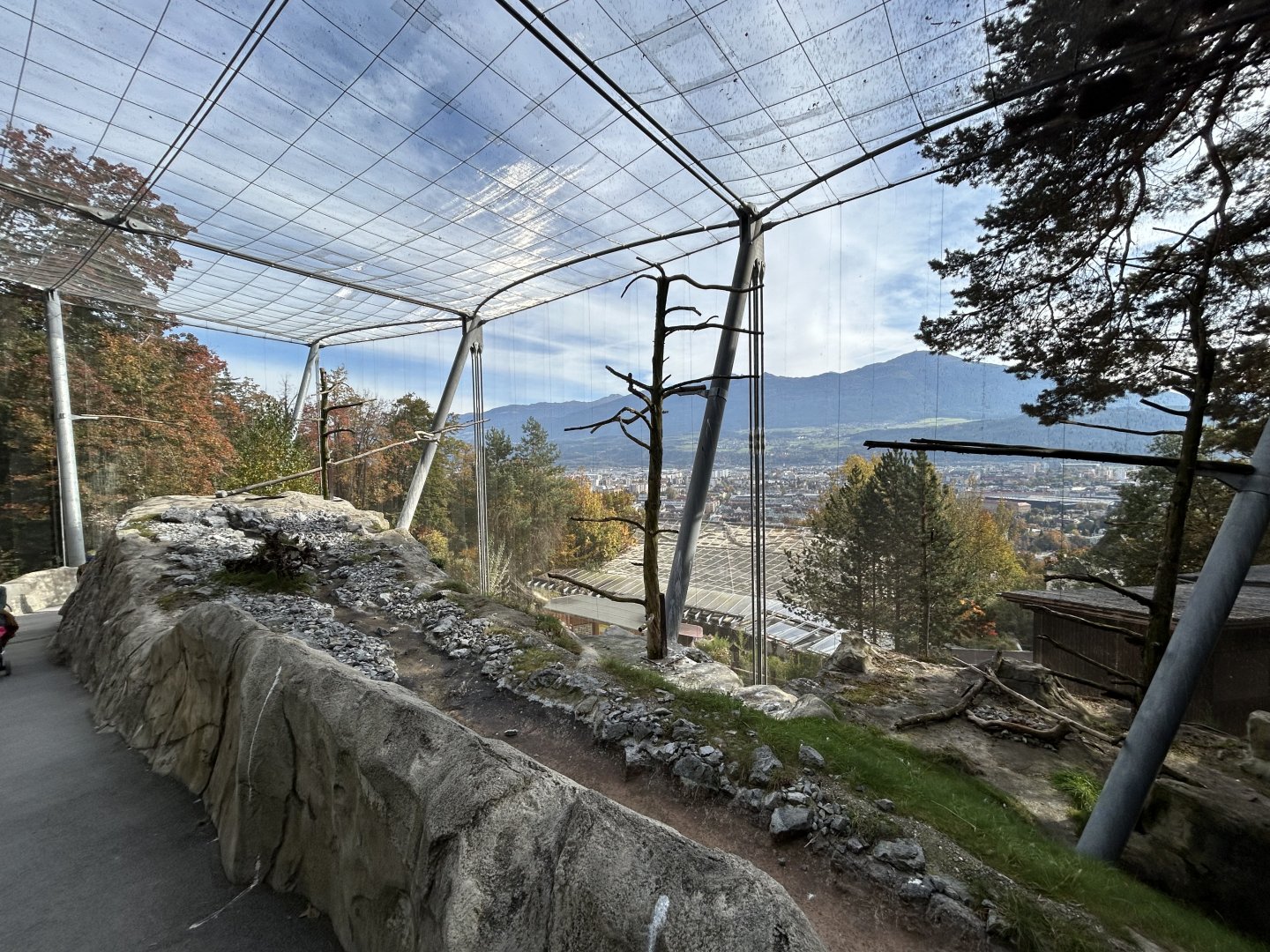 Walkthrough Vulture Aviary