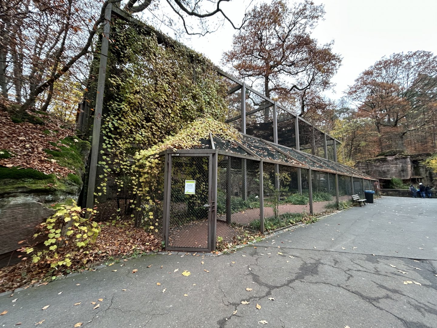 Walkthrough Wading Bird Aviary