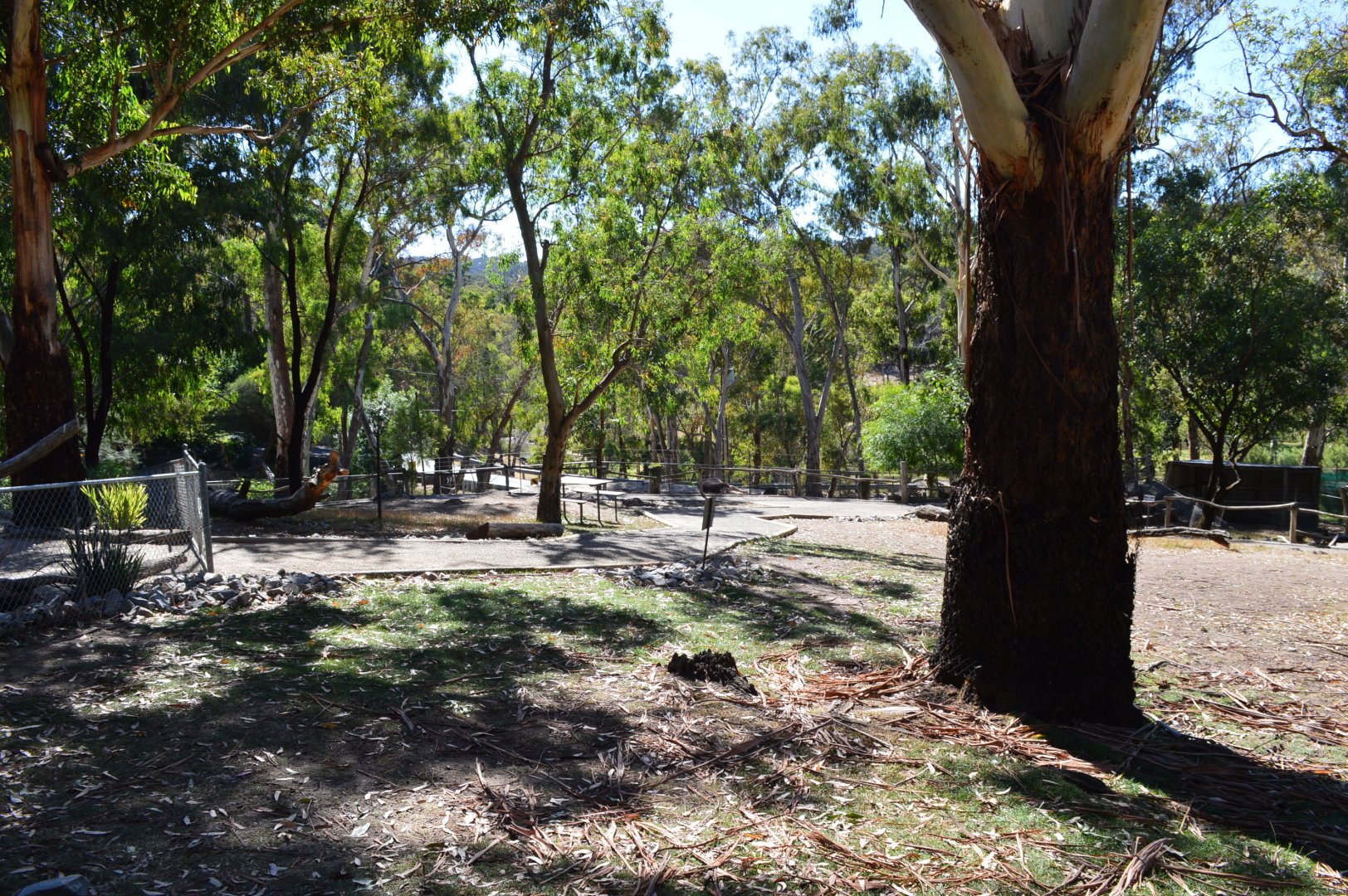 Walkthrough Wallaby Enclosure 01