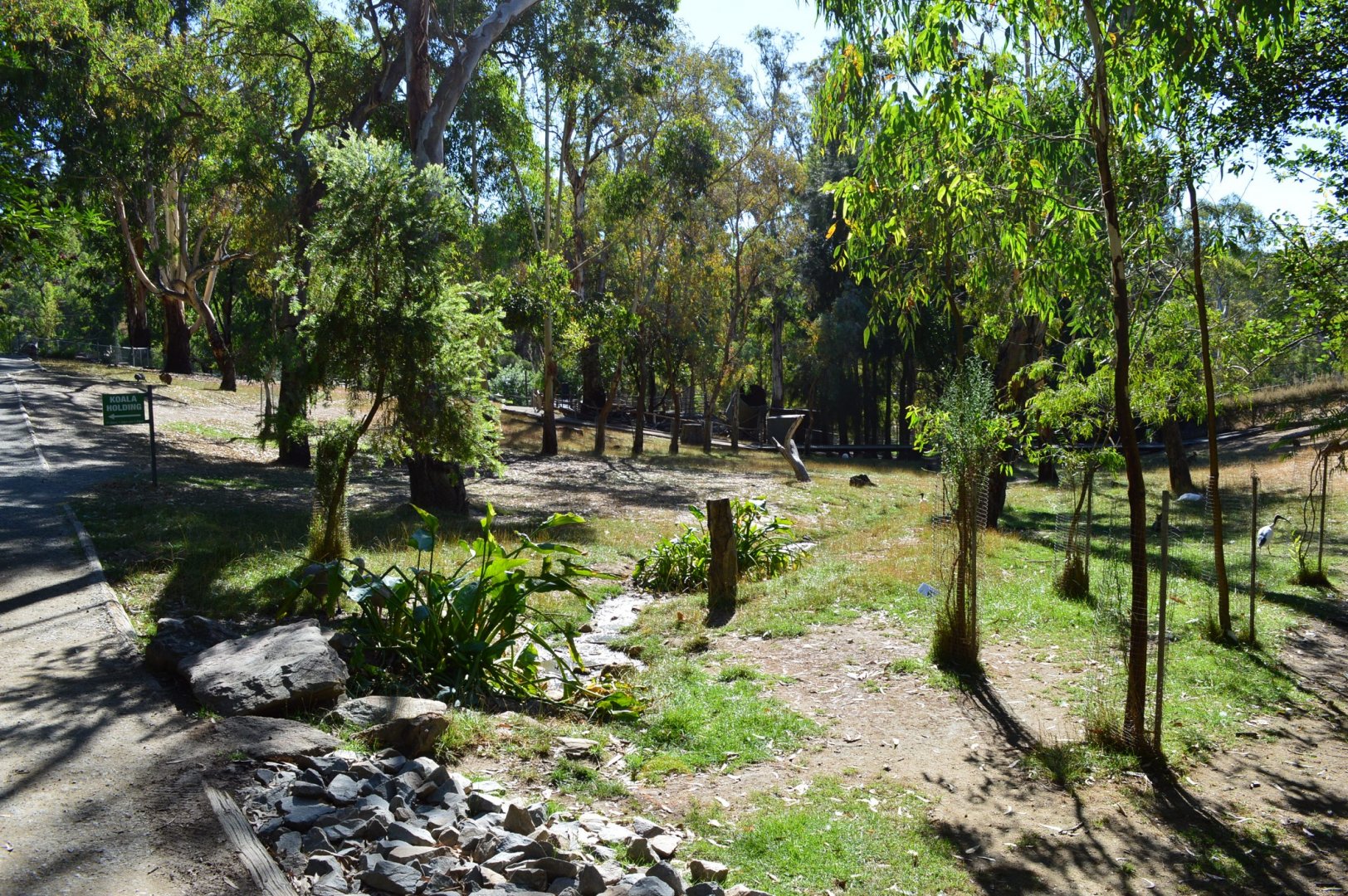Walkthrough Wallaby Enclosure 03