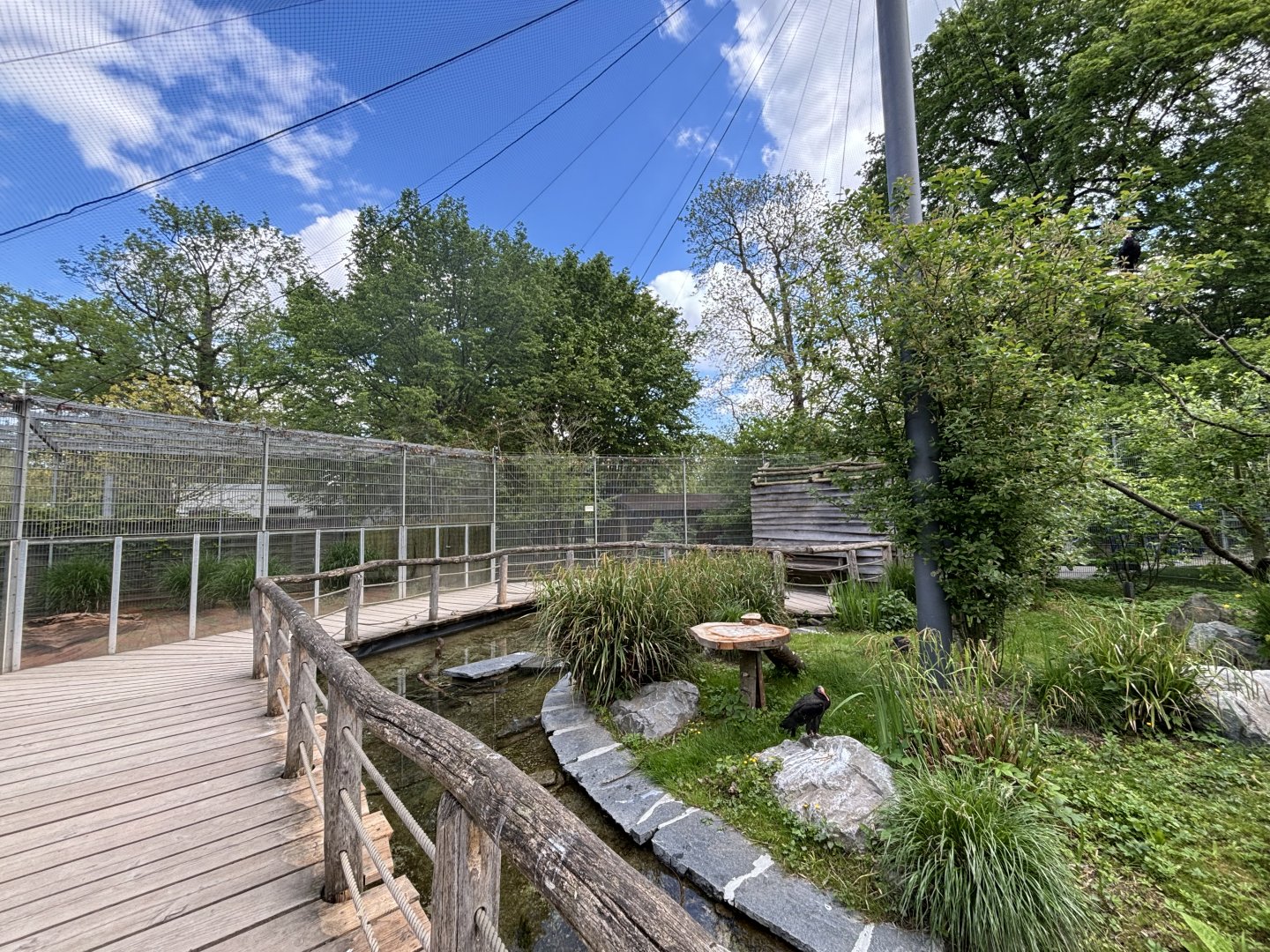 Walkthrough Walldrapp enclosure and Meerkat enclosure