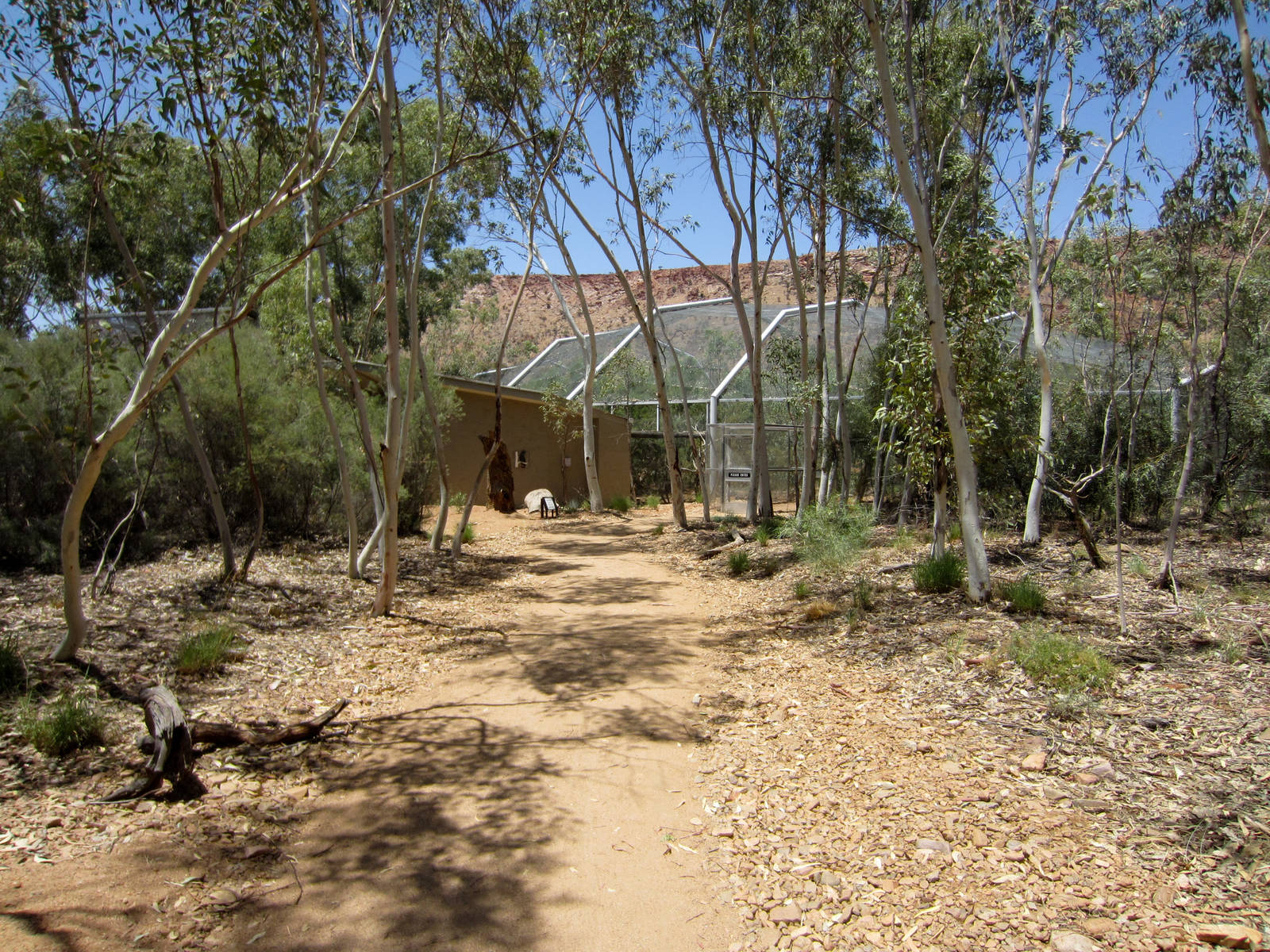 Walkthrough Waterhole Aviary exterior
