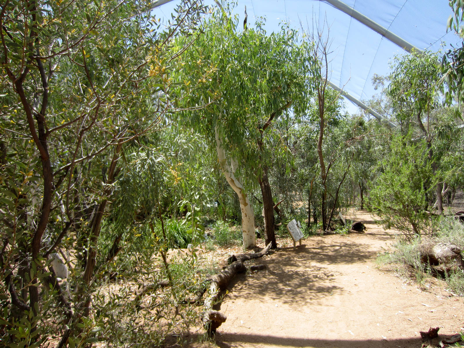 Walkthrough Waterhole Aviary interior