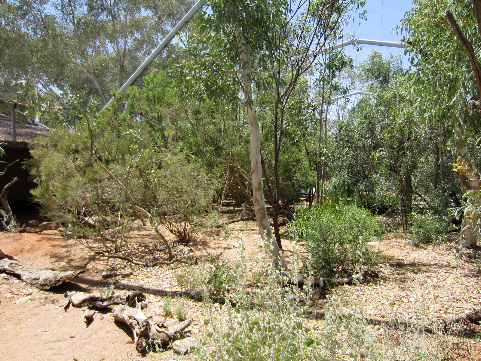 Walkthrough Waterhole Aviary interior