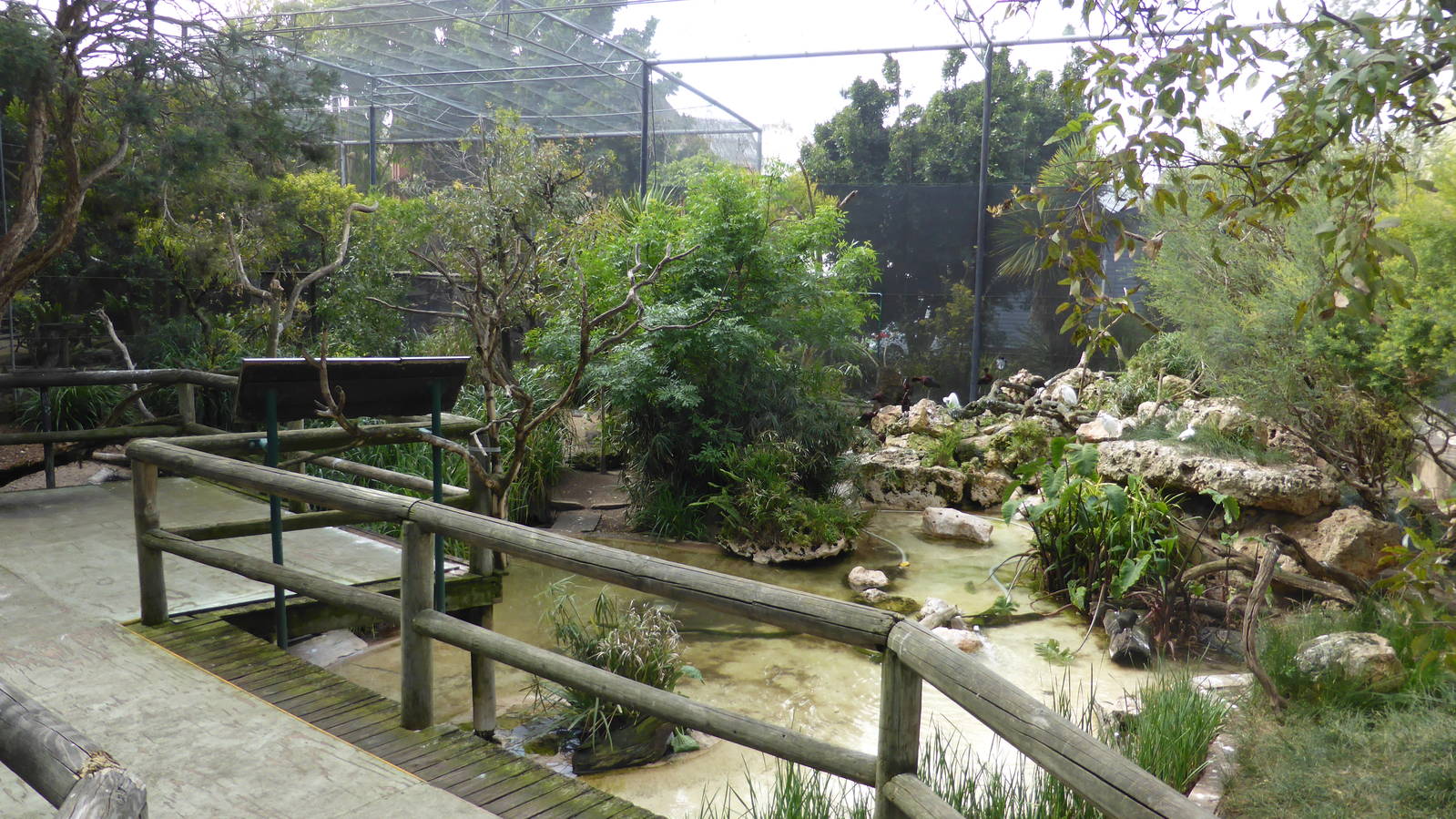 Walkthrough wetland aviary, interior