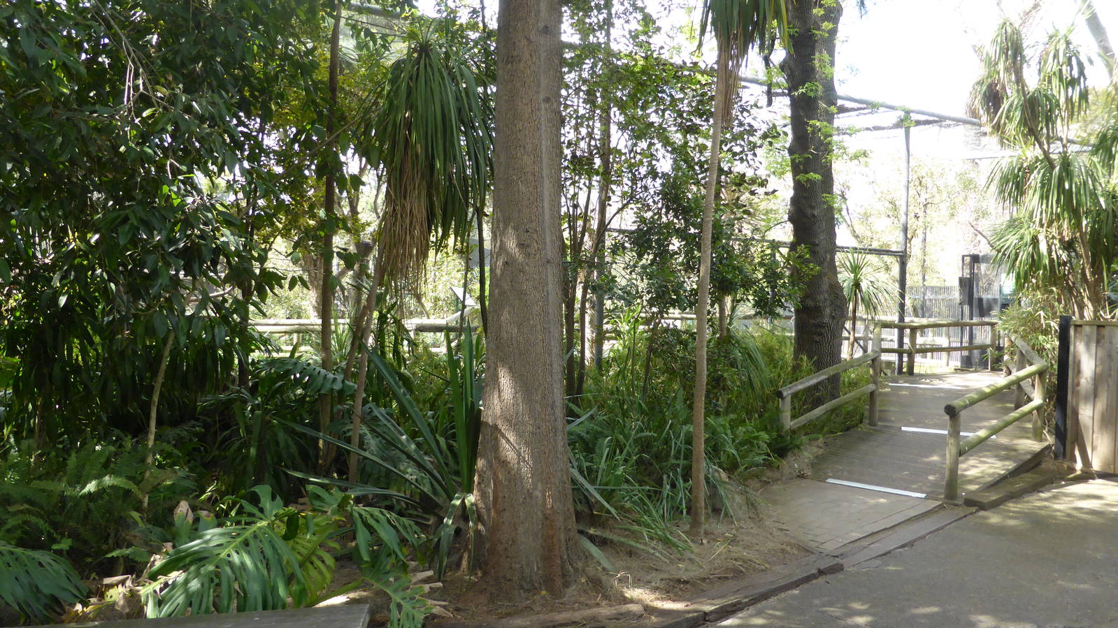 Walkthrough wetland aviary