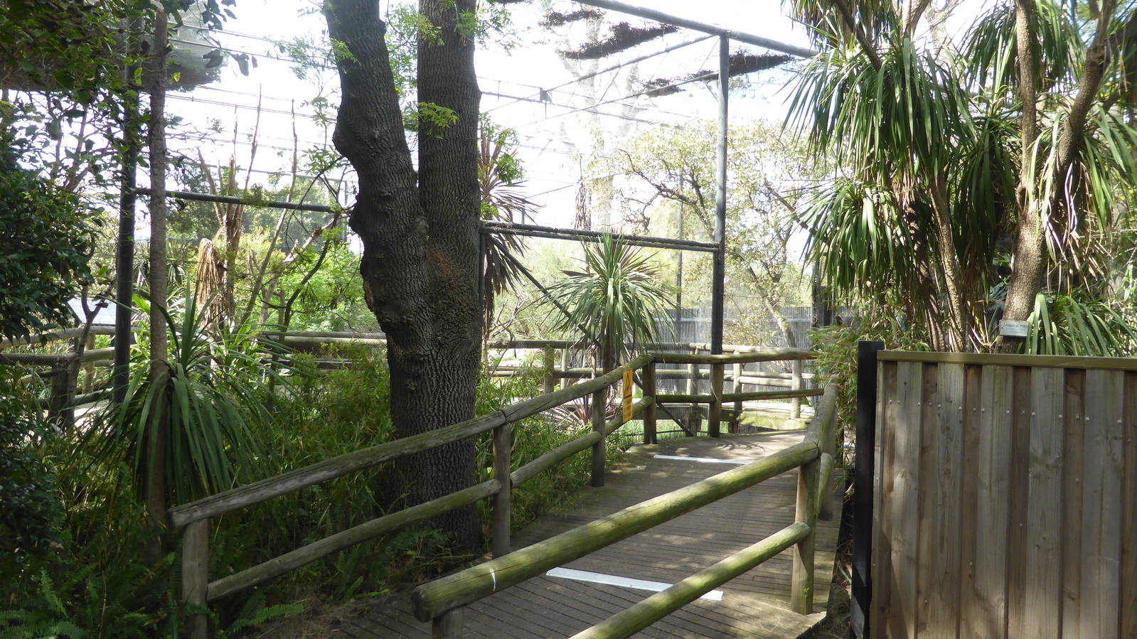 Walkthrough wetland aviary