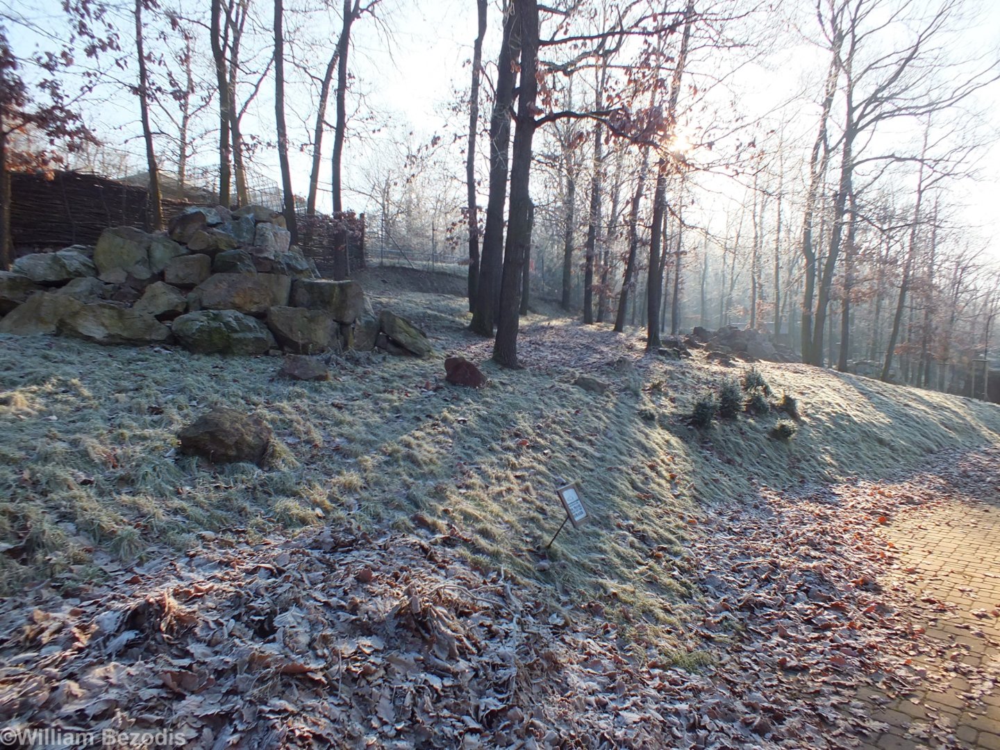 Walkthrough Yellow-footed Rock-wallaby Enclosure