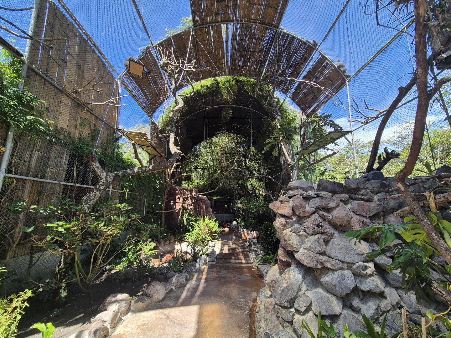 Walktrough Macaw/ Toucan Aviary