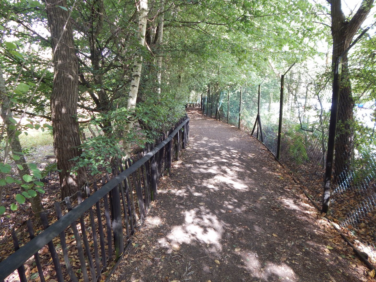 Walkway adjacent to Eurasian crane habitat 030924
