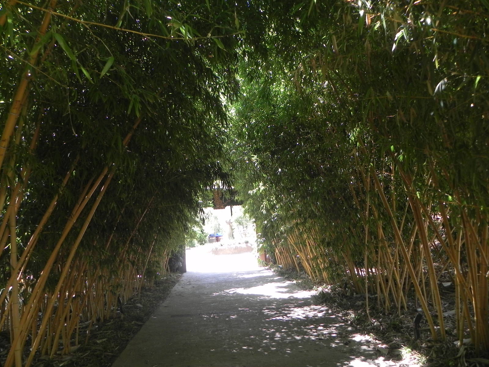 Walkway after entance to Tiger Trail