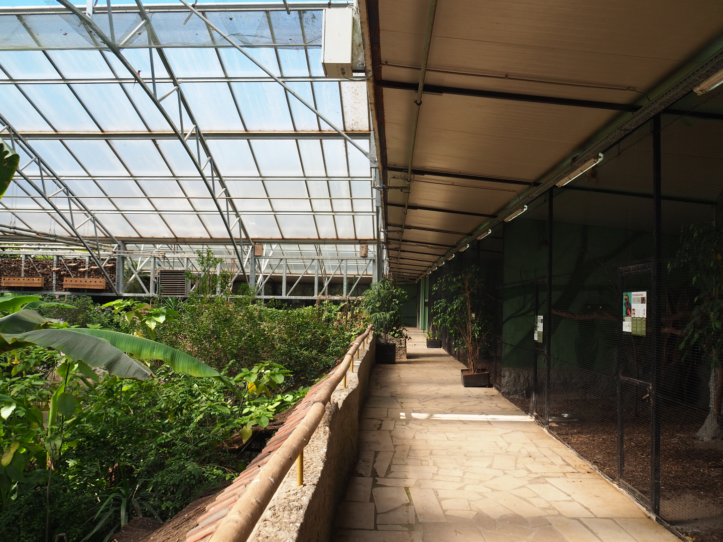 Walkway alongside aviaries on the second level of the tropical hall, 2020-06-20
