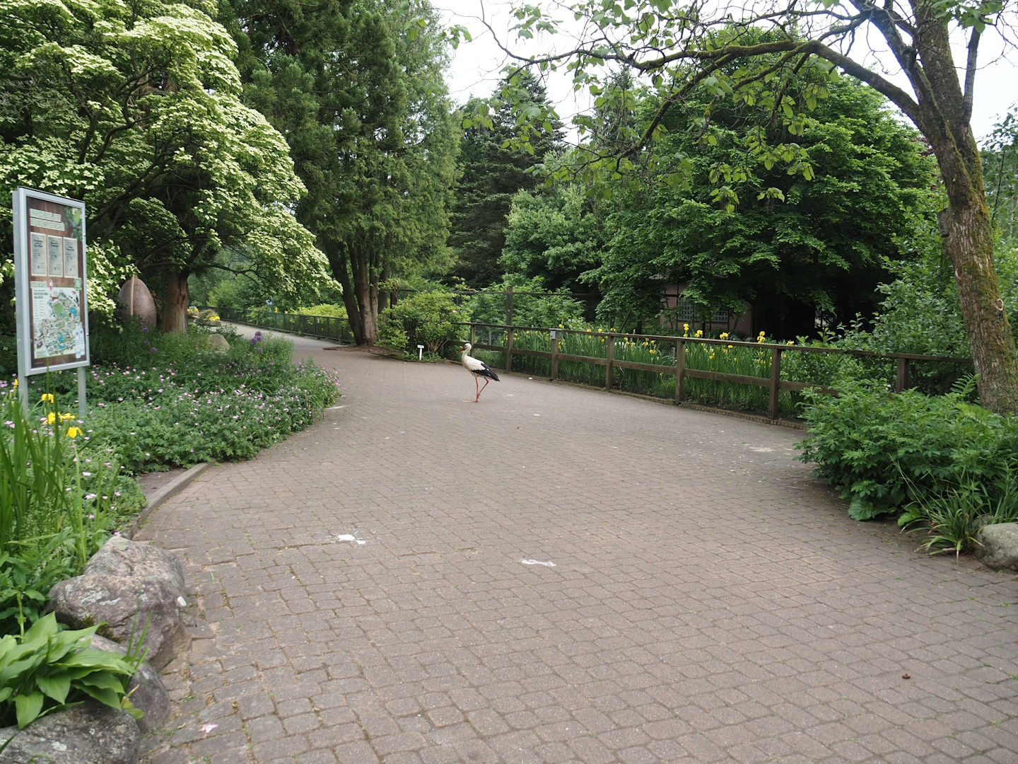Walkway alongside crane exhibits, 2024-05-21