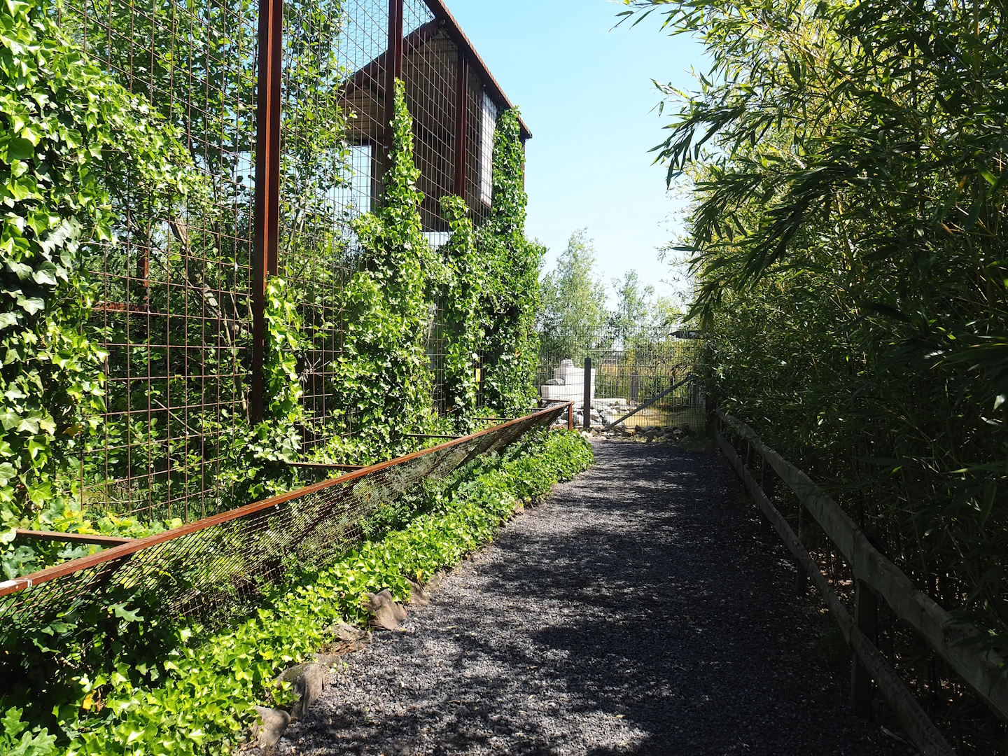 Walkway alongside Steller's sea eagle aviary, 2023-05-31