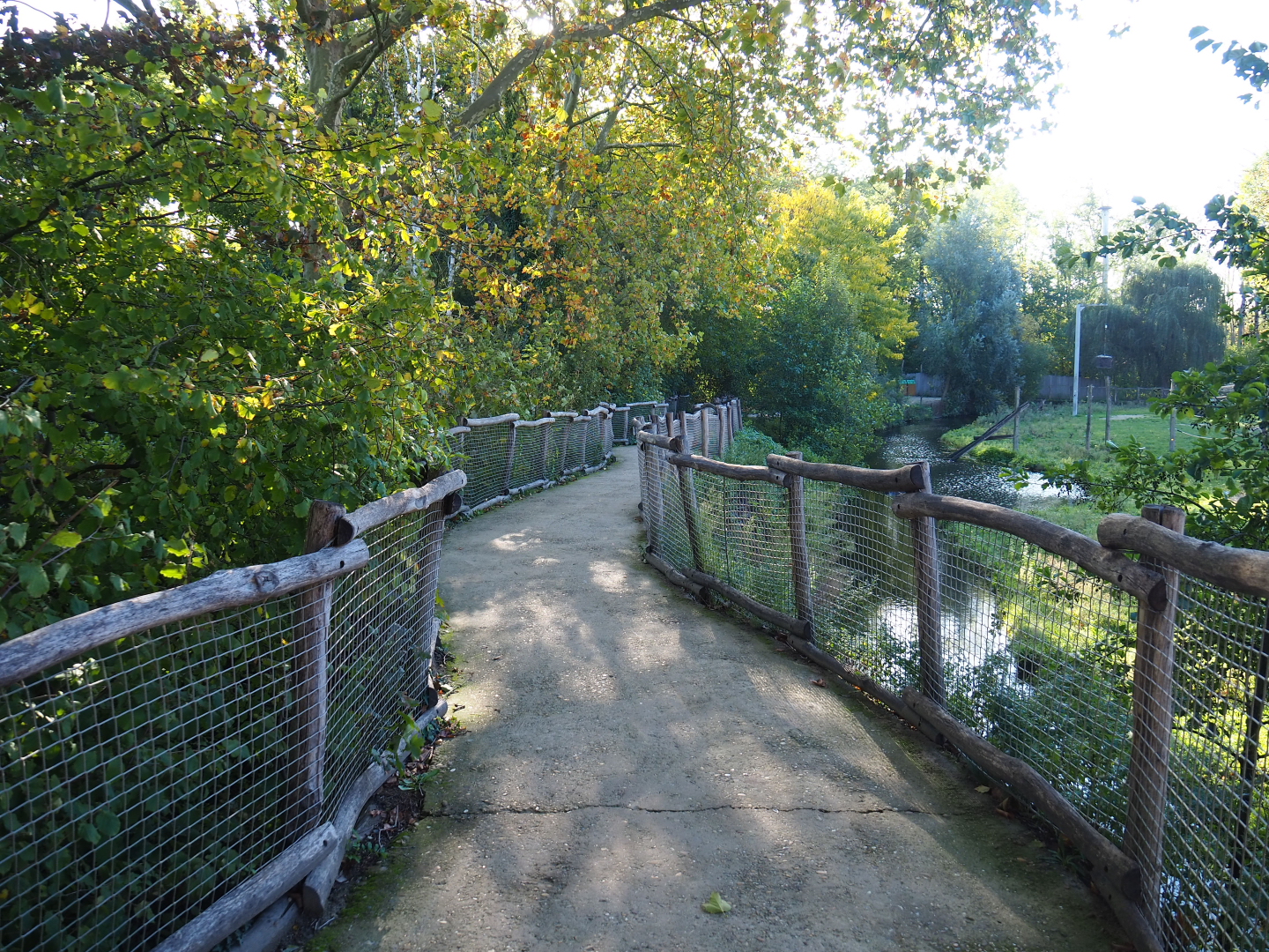 Walkway alongside the giraffe savanna exhibit, 2020-10-10