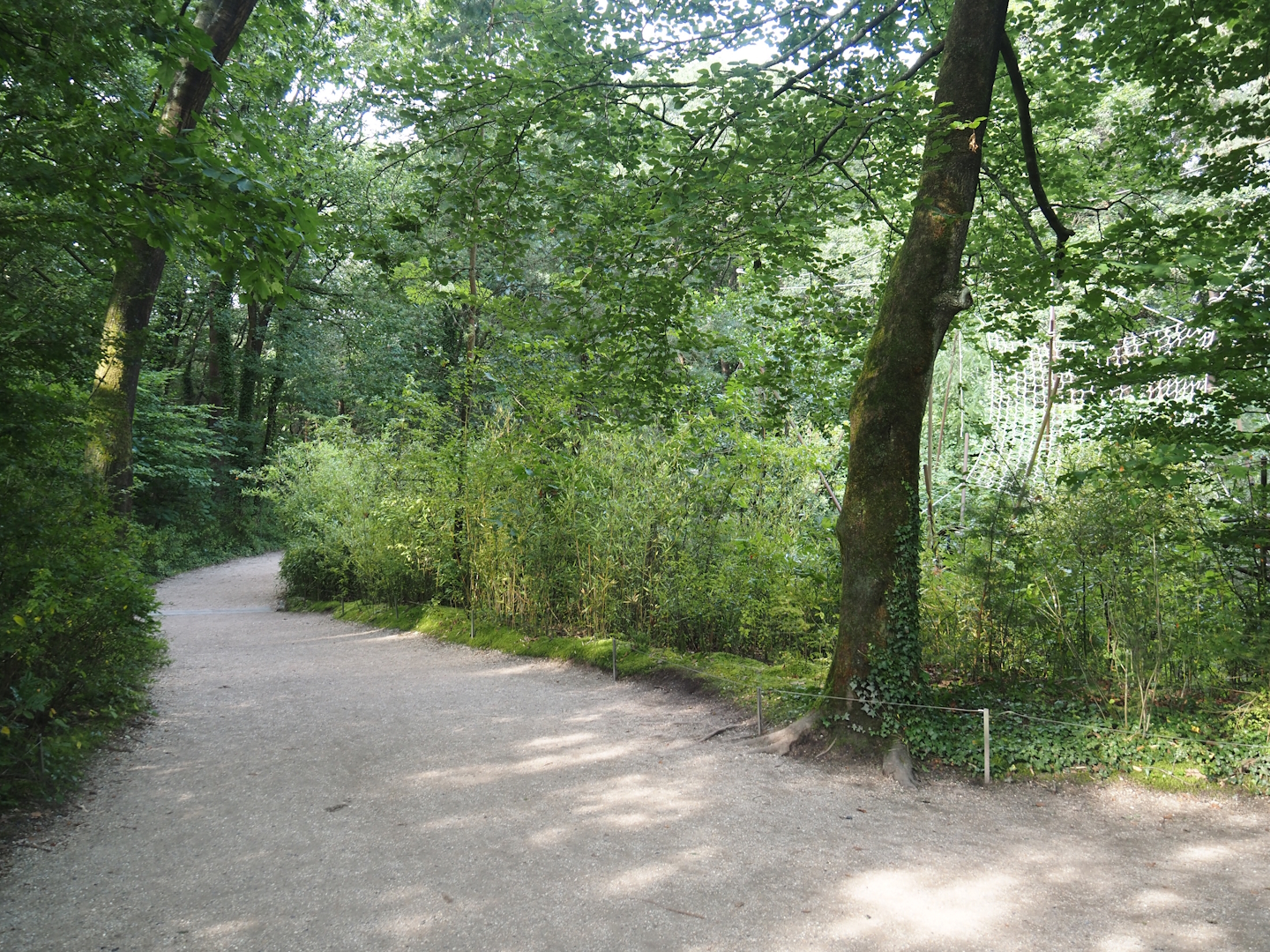 Walkway alongside the Guianan bearded saki island in the Bolivian squirrel monkey forest area, 2024-08-18