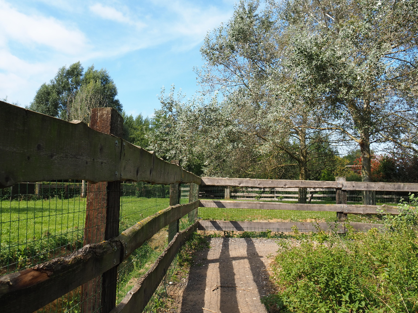 Walkway alongside the large hoofstock paddocks, 2020-09-12
