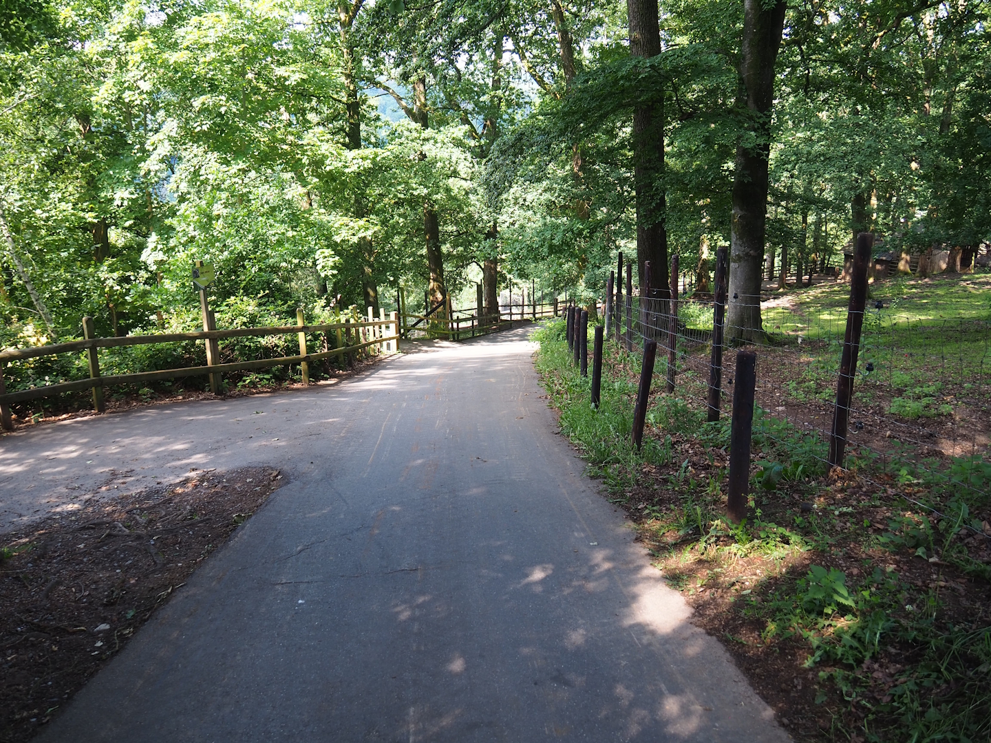 Walkway alongside Zebu paddock, 2023-06-24