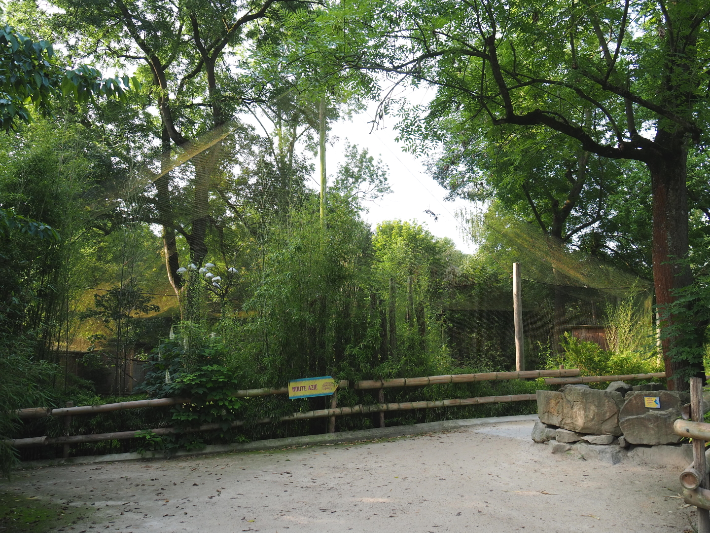 Walkway and aviary in the Asian area, 2021-07-20