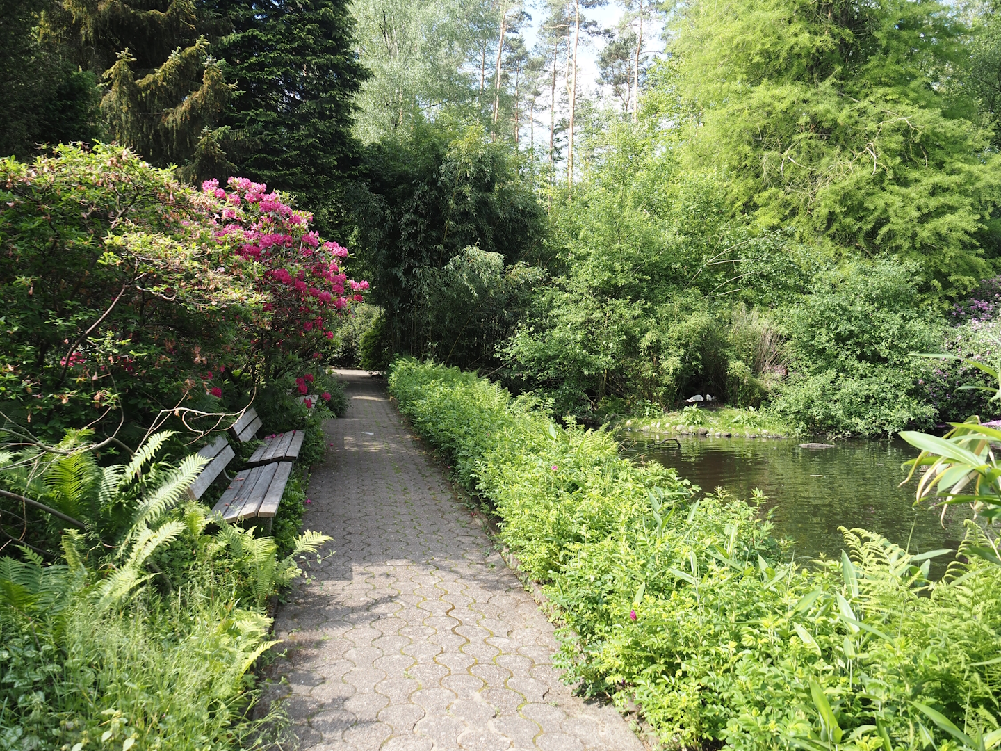 Walkway and benches next to Peruvian pelican exhibit, 2024-05-21