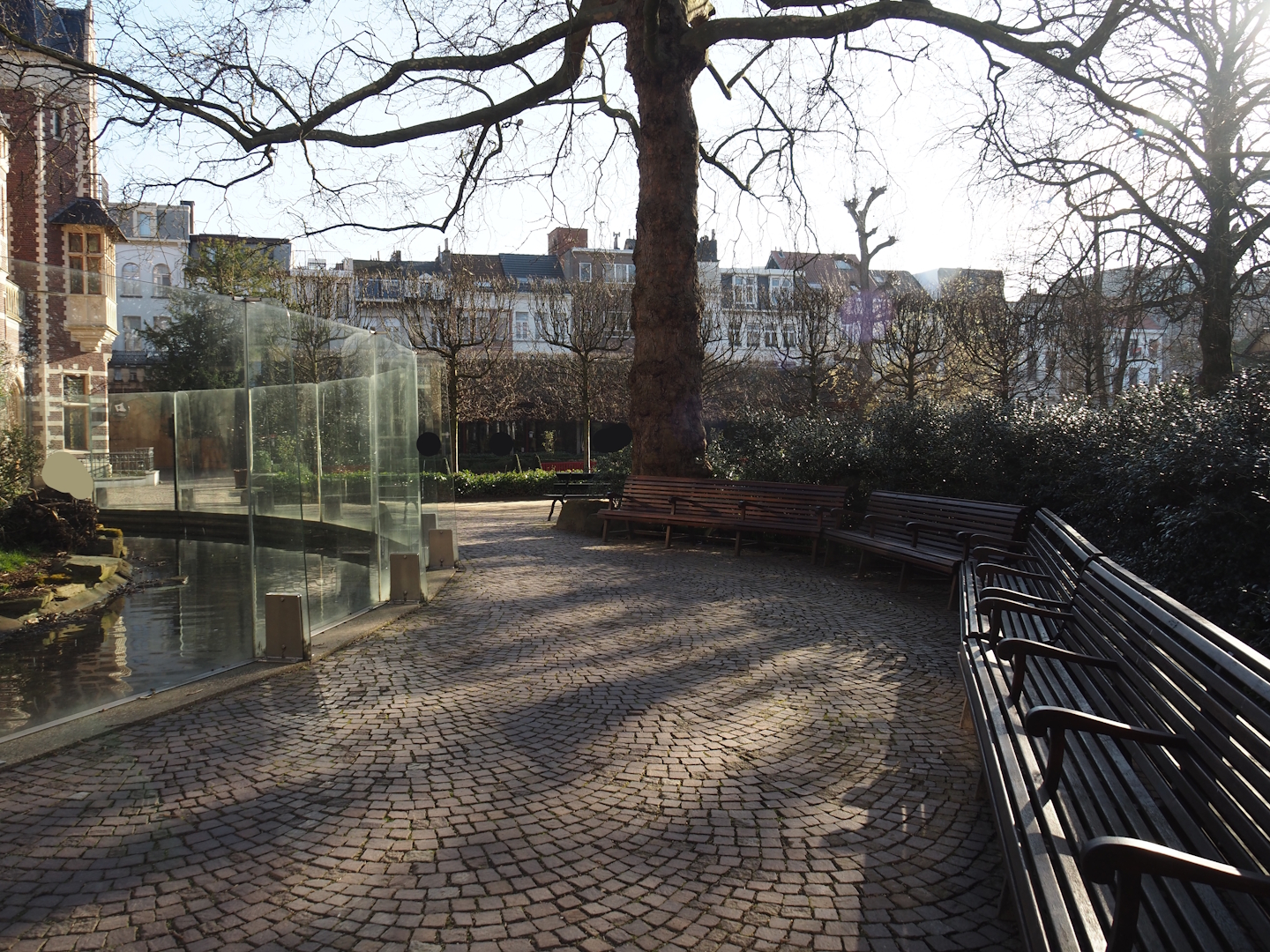 Walkway and benches next to the mandrill outdoor exhibit, 2024-03-09