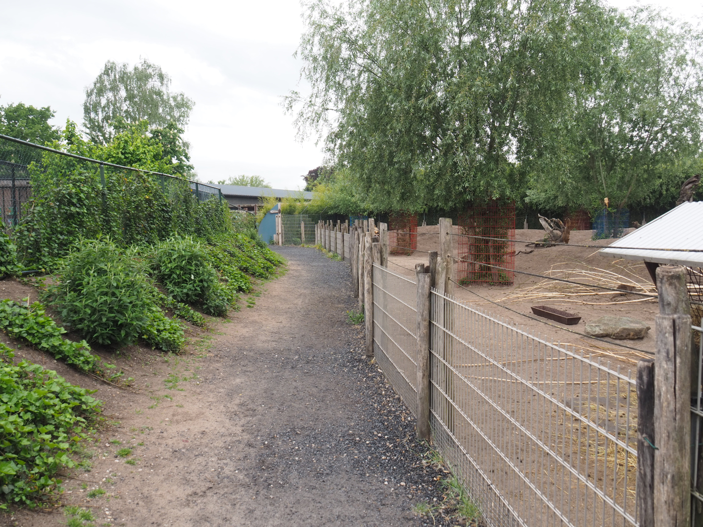 Walkway and Eastern grey kangaroo and Parma wallaby paddock, 2022-05-17