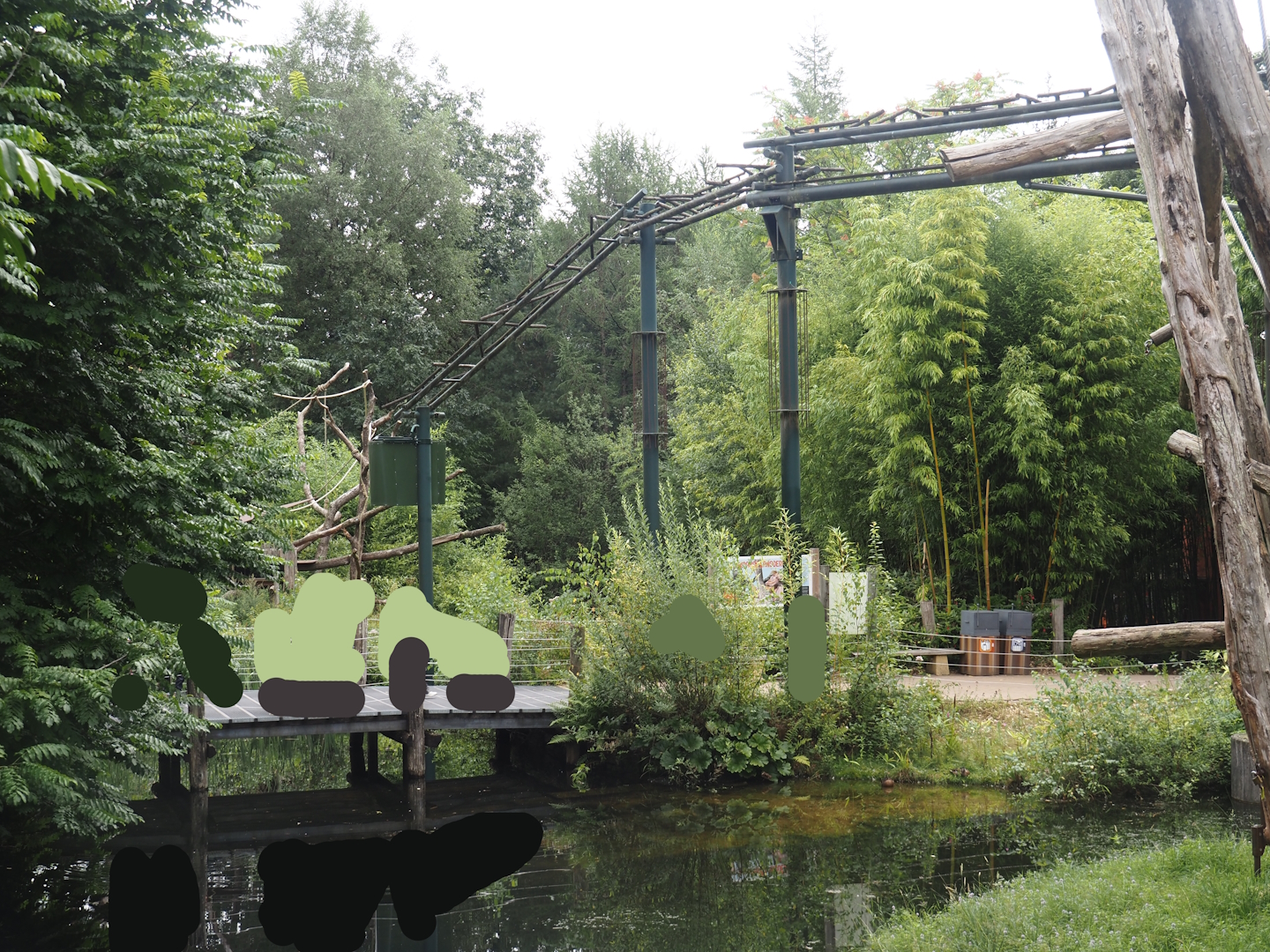 Walkway and extendable monkey bridge between Javan langur exhibit and Bornean orangutan islands, 2024-08-18