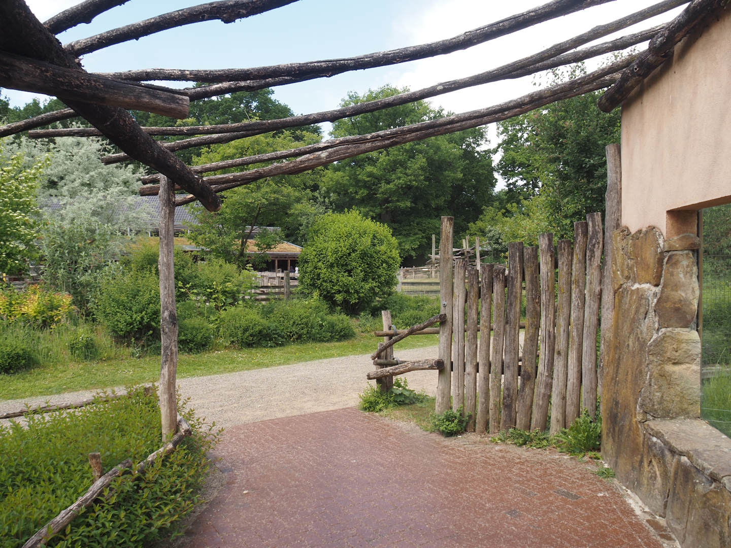 Walkway and Indian sloth bear and European golden jackal sloth bear exhibit viewing window, 2025-05-22