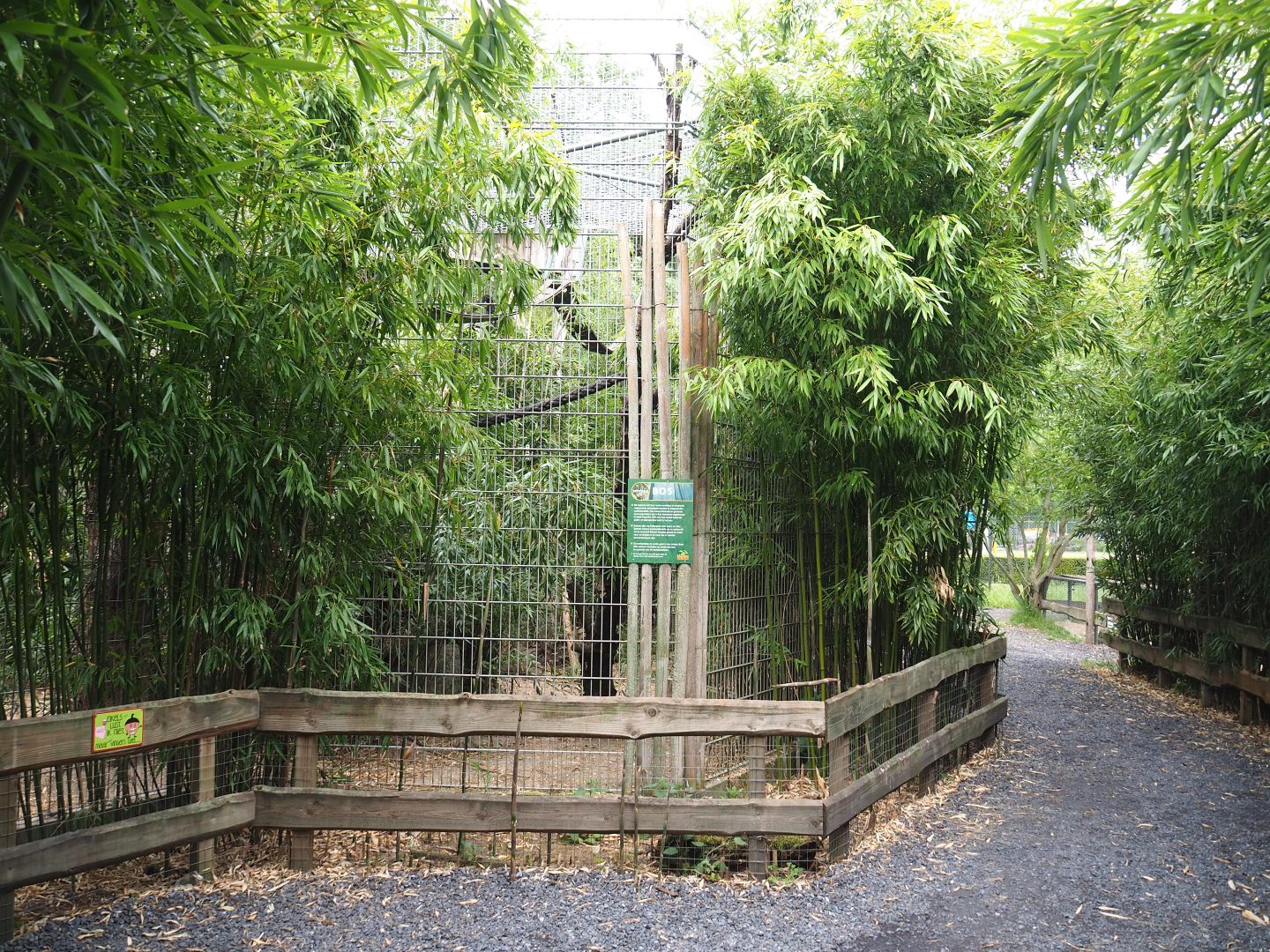 Walkway and Indochinese clouded leopard exhibit, 2022-05-17
