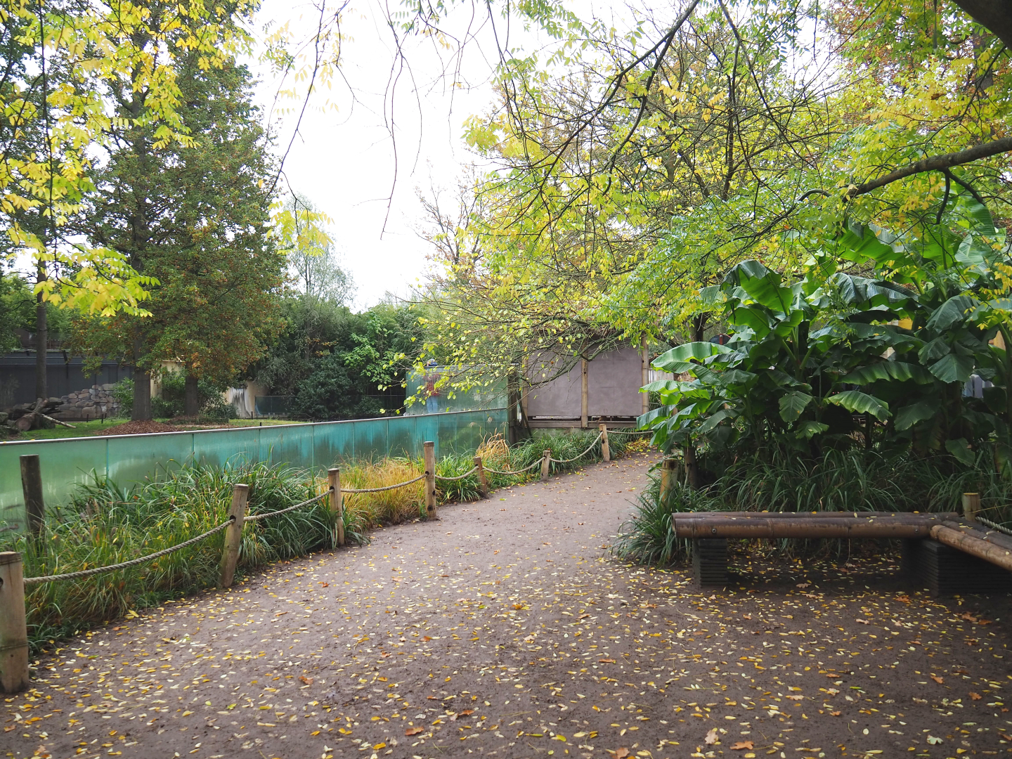 Walkway and sitting area with viewing of the Asiatic lion exhibit, 2021-11-06