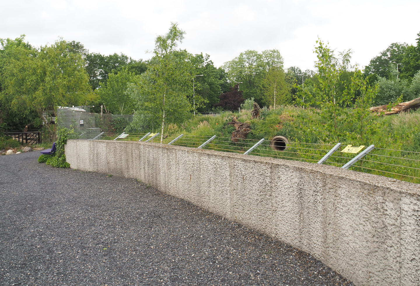 Walkway and Spotted hyena viewing area, 2022-05-17