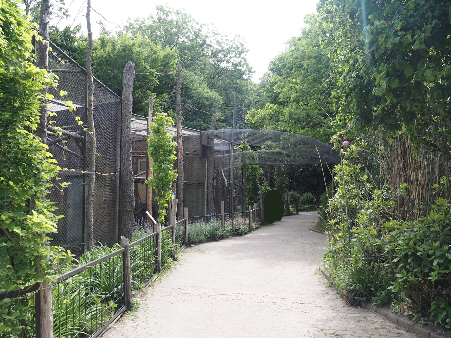 Walkway and tunnels between older Lion-tailed macaque exhibits and larger outdoor exhibits, 2025-05-22